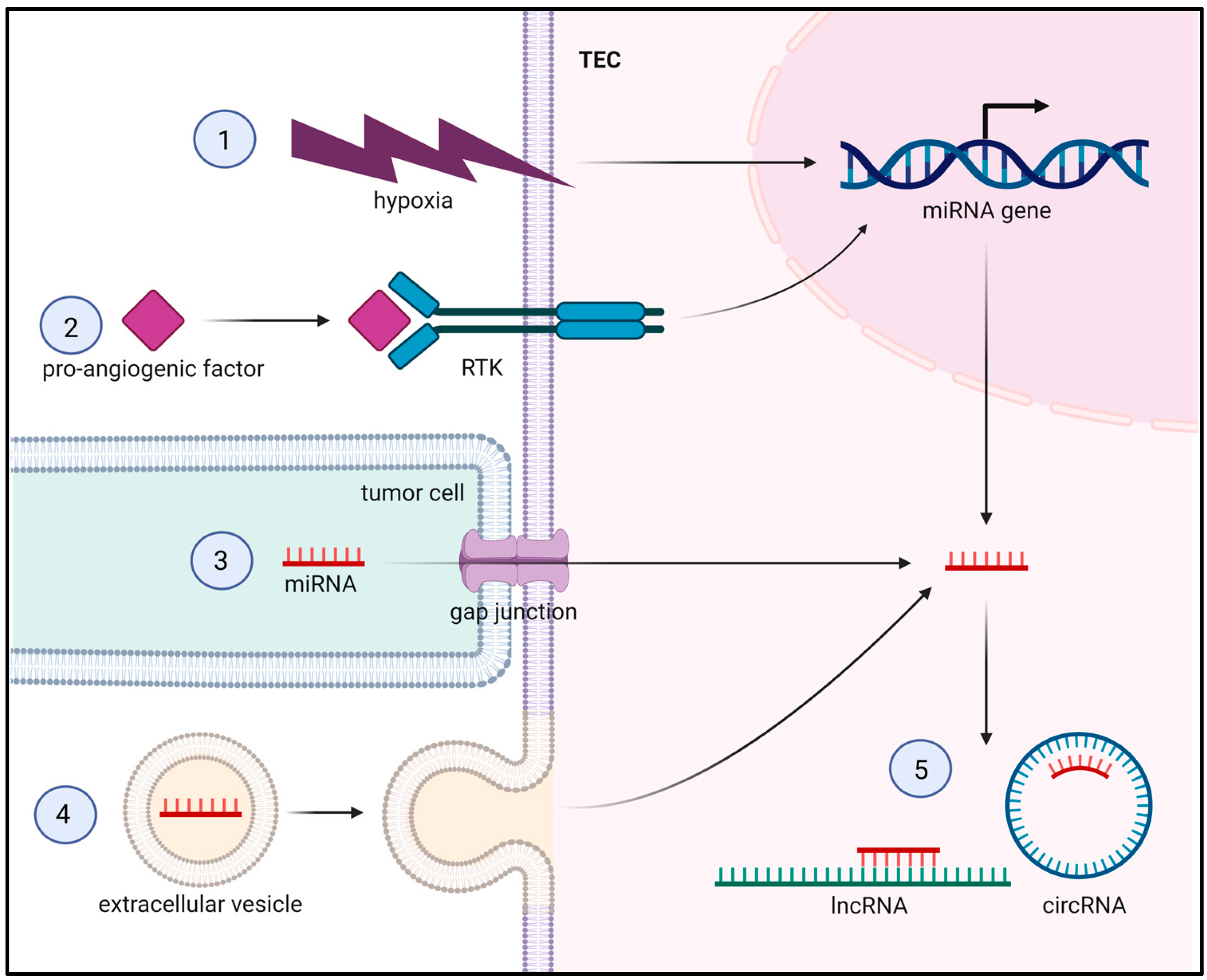 Cells 12 01692 g004 Cells 12 01692 g004