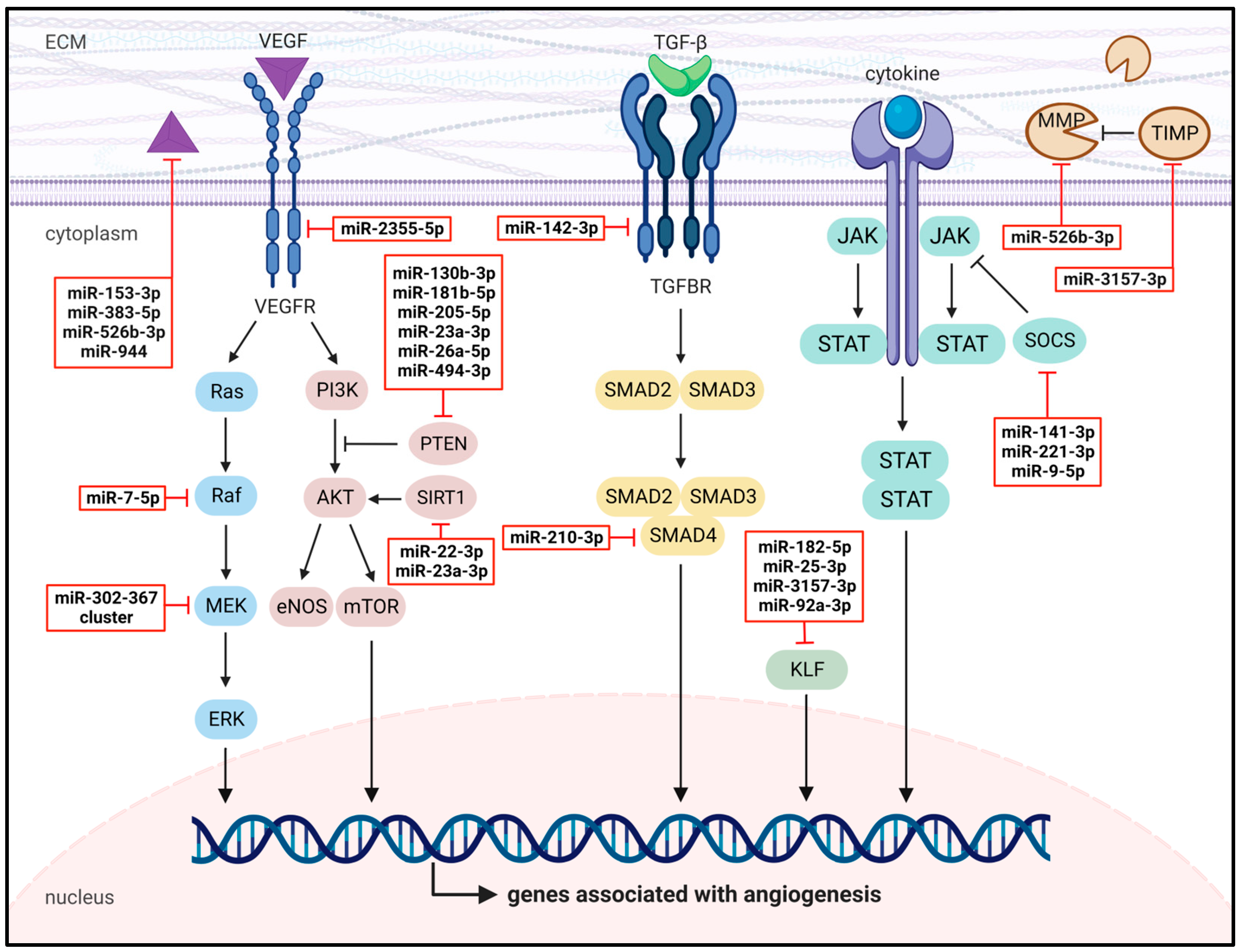Cells 12 01692 g005 Cells 12 01692 g005