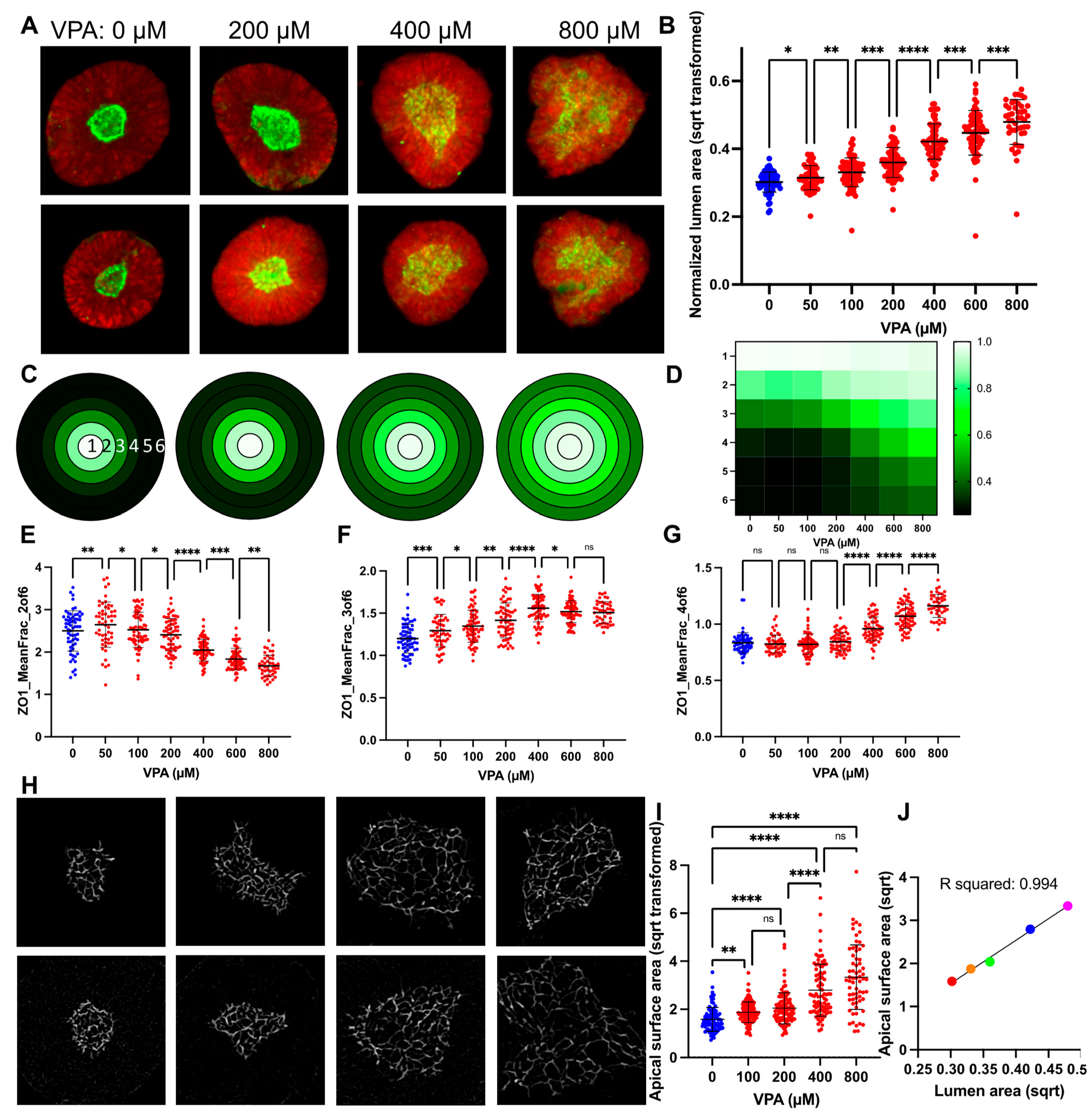 Cells 12 01697 g002 Cells 12 01697 g002