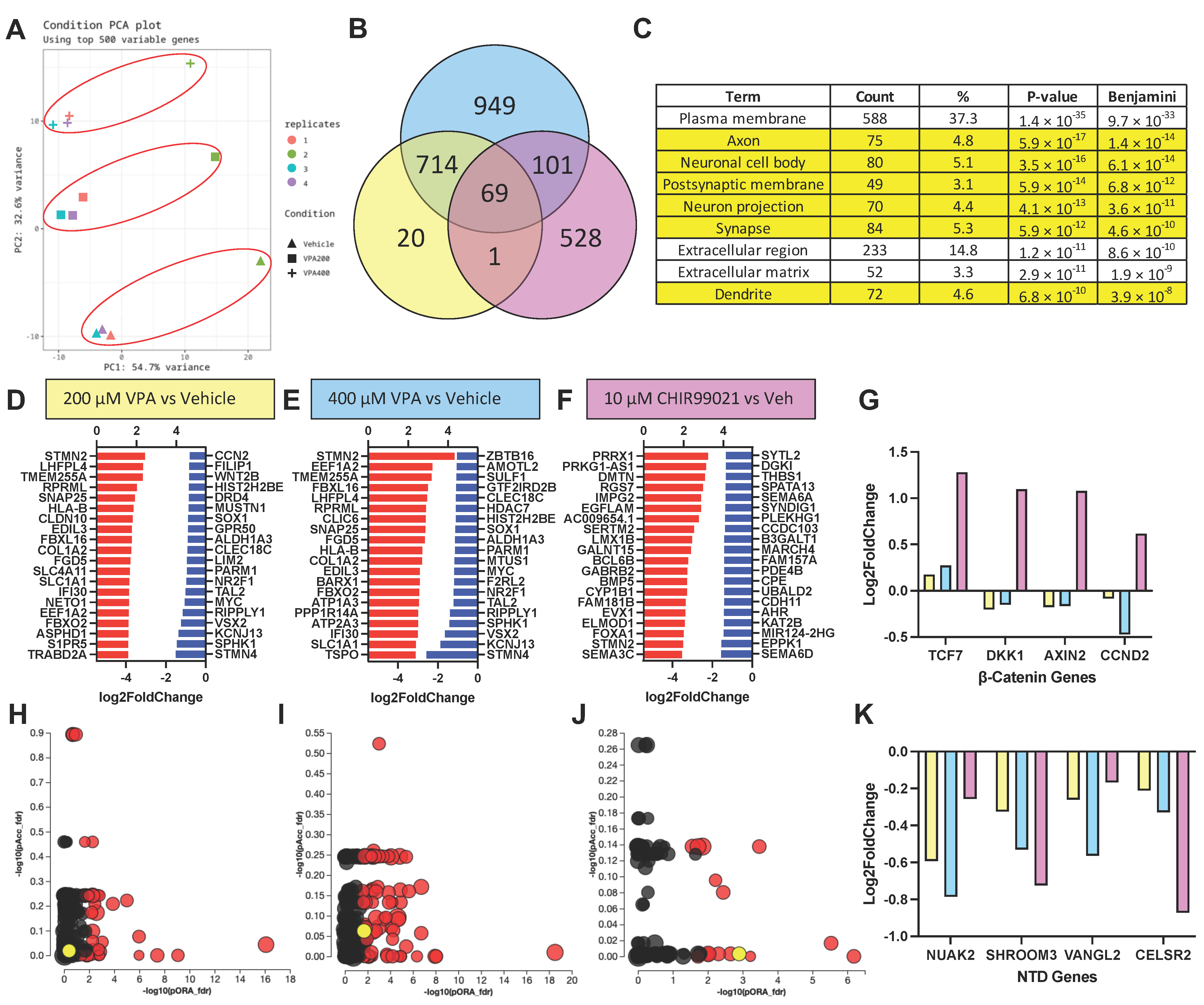 Cells 12 01697 g004 Cells 12 01697 g004