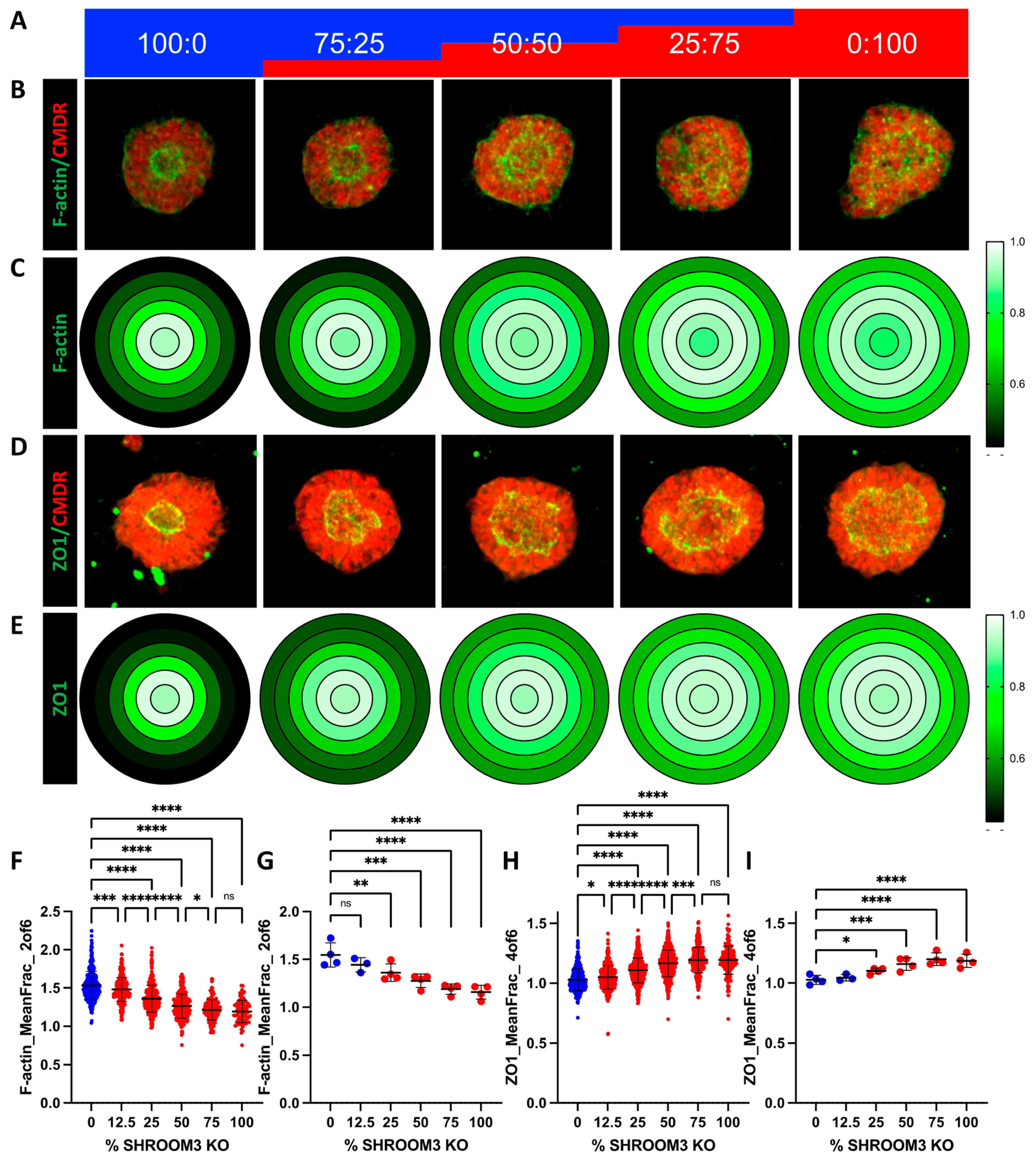 Cells 12 01697 g006 Cells 12 01697 g006
