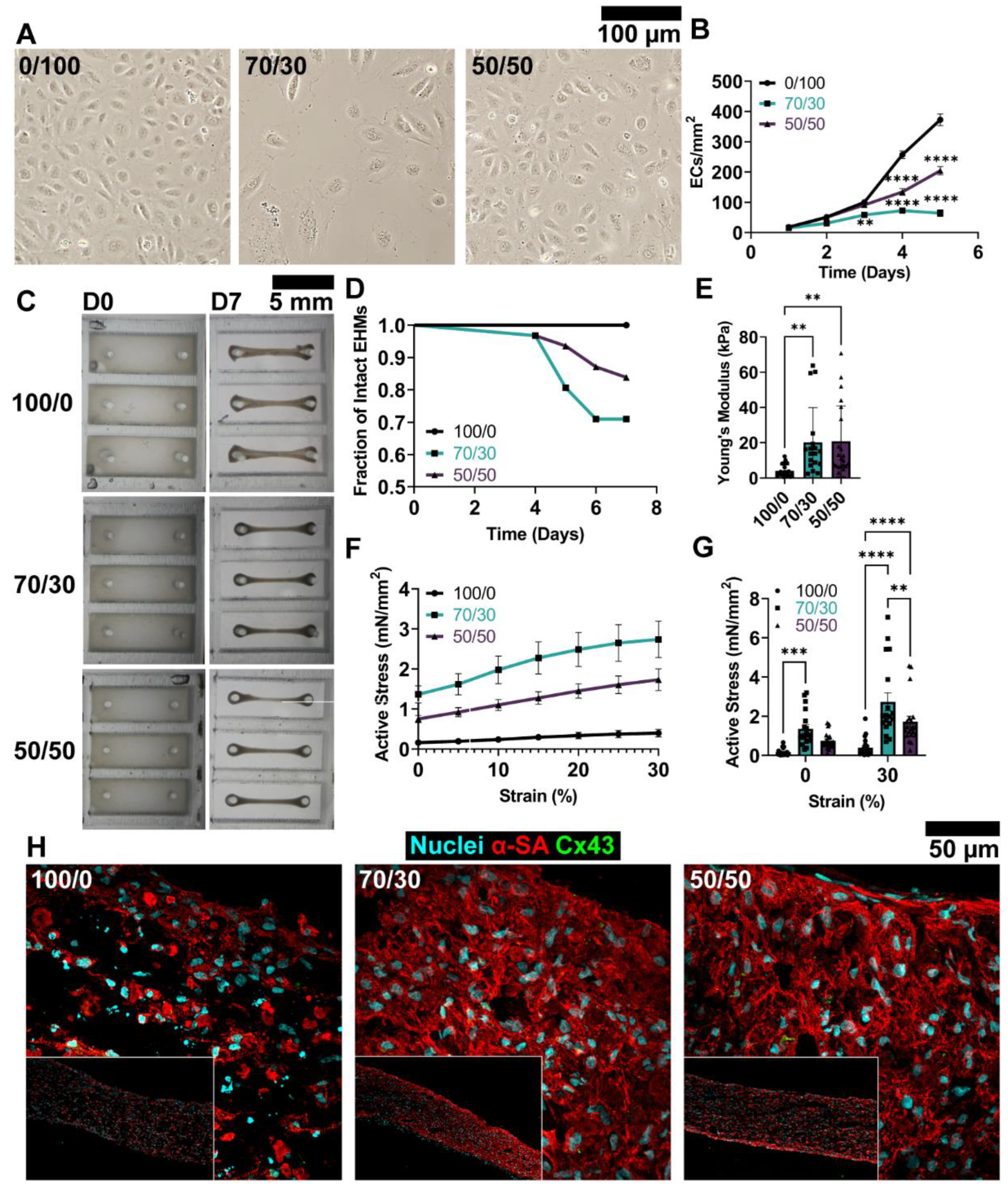 Cells 12 01698 g002 Cells 12 01698 g002