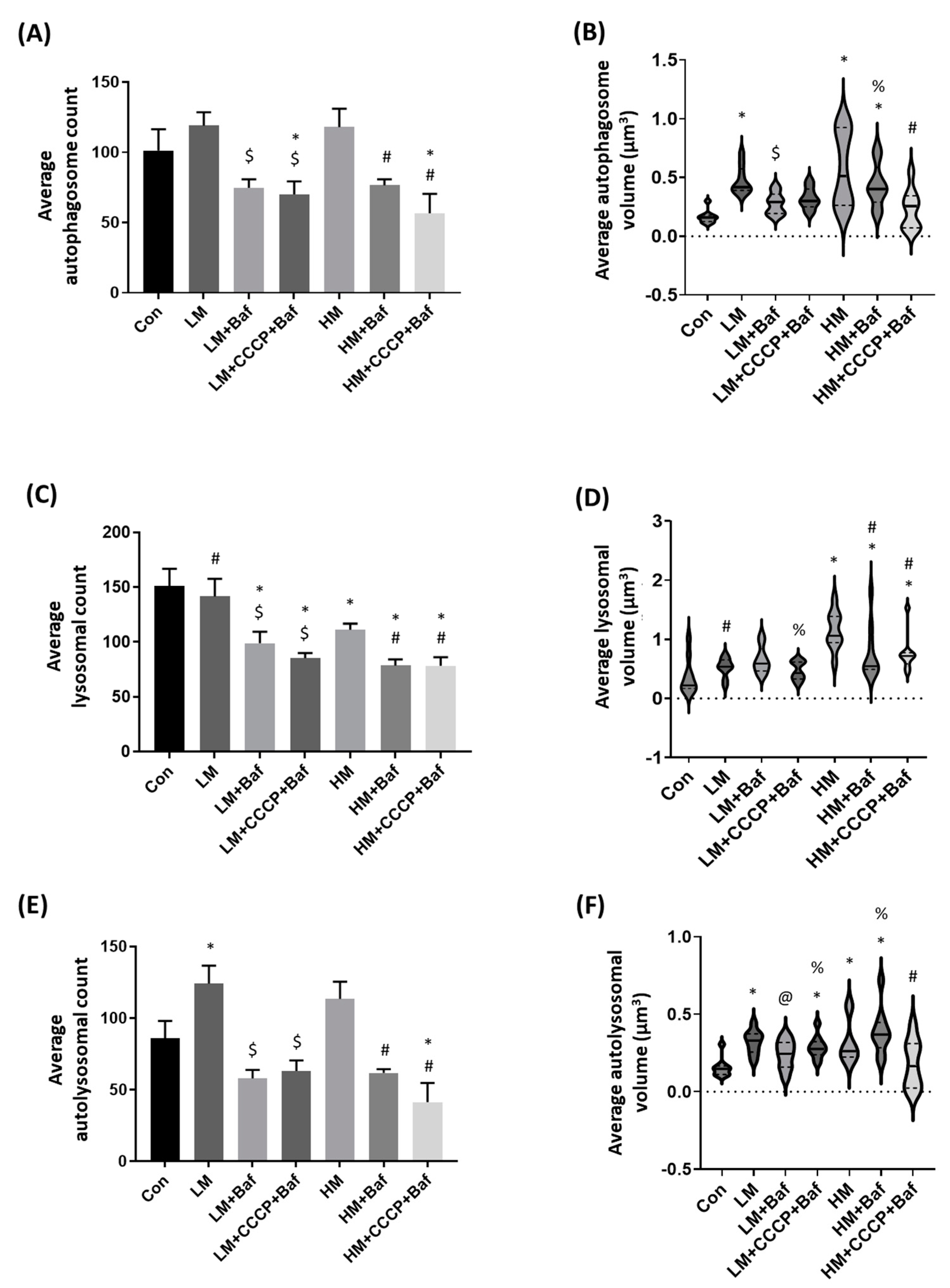 Cells 12 01726 g002a Cells 12 01726 g002a