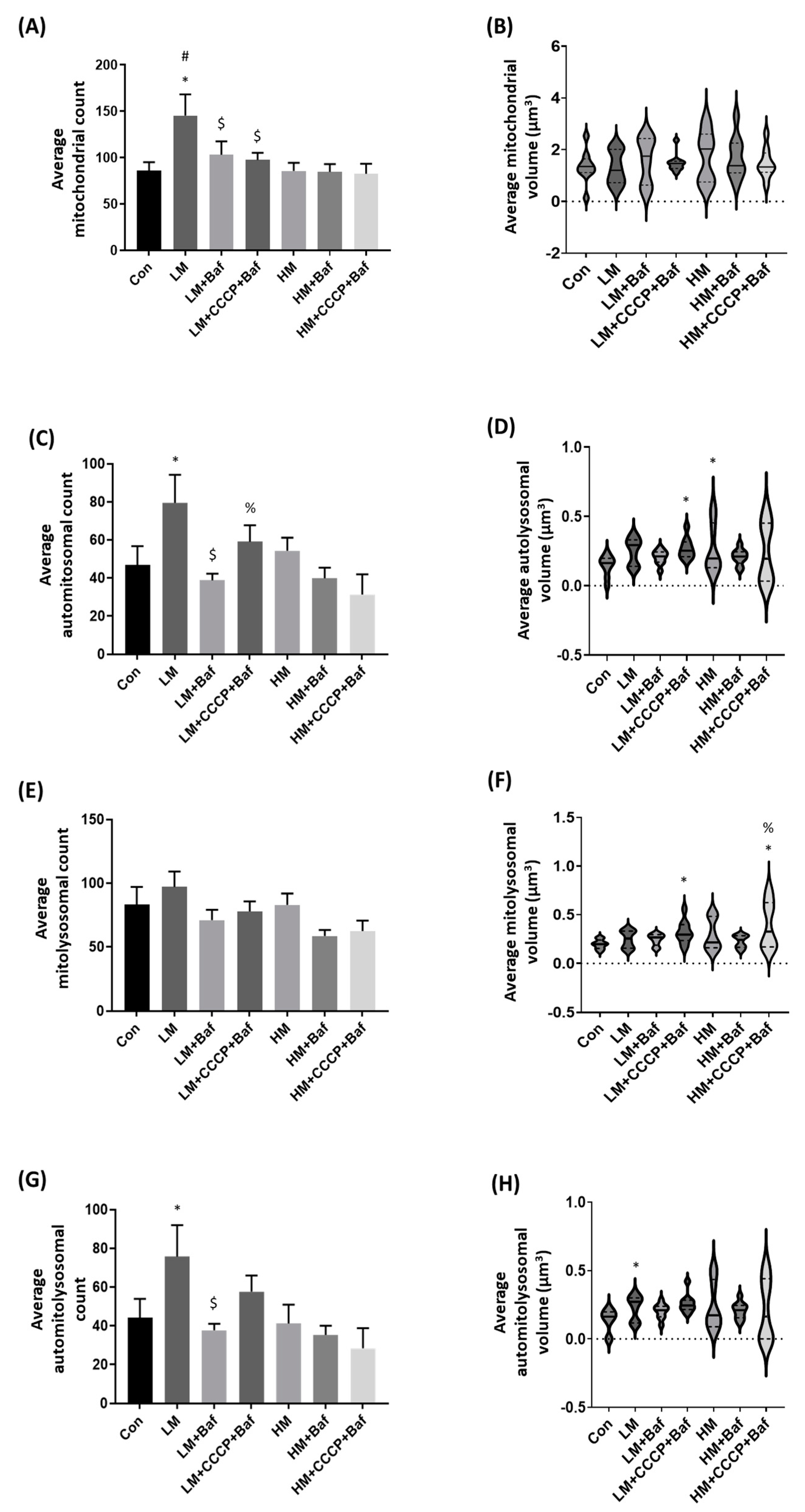 Cells 12 01726 g003a Cells 12 01726 g003a