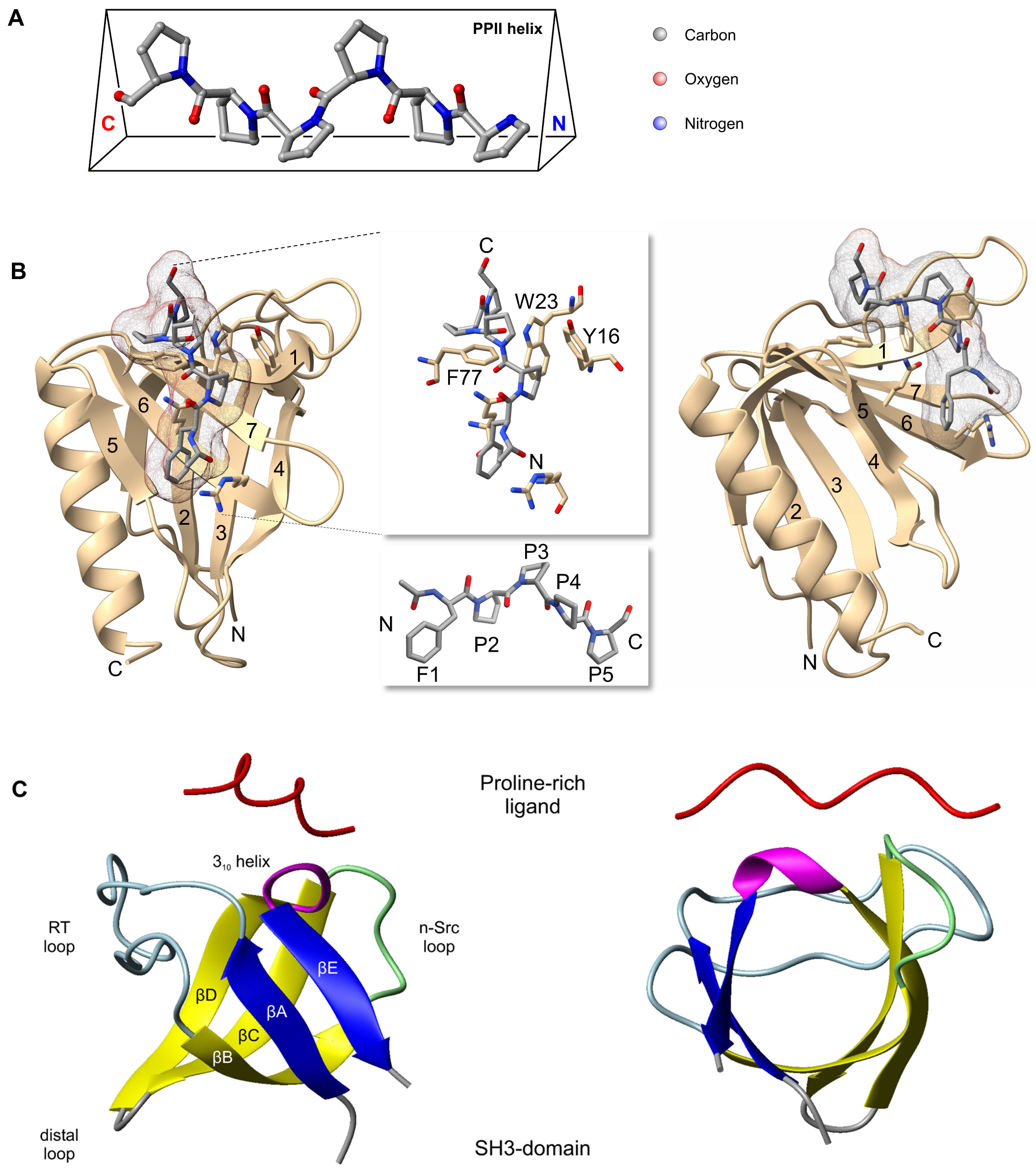 Cells 12 01740 g004 Cells 12 01740 g004