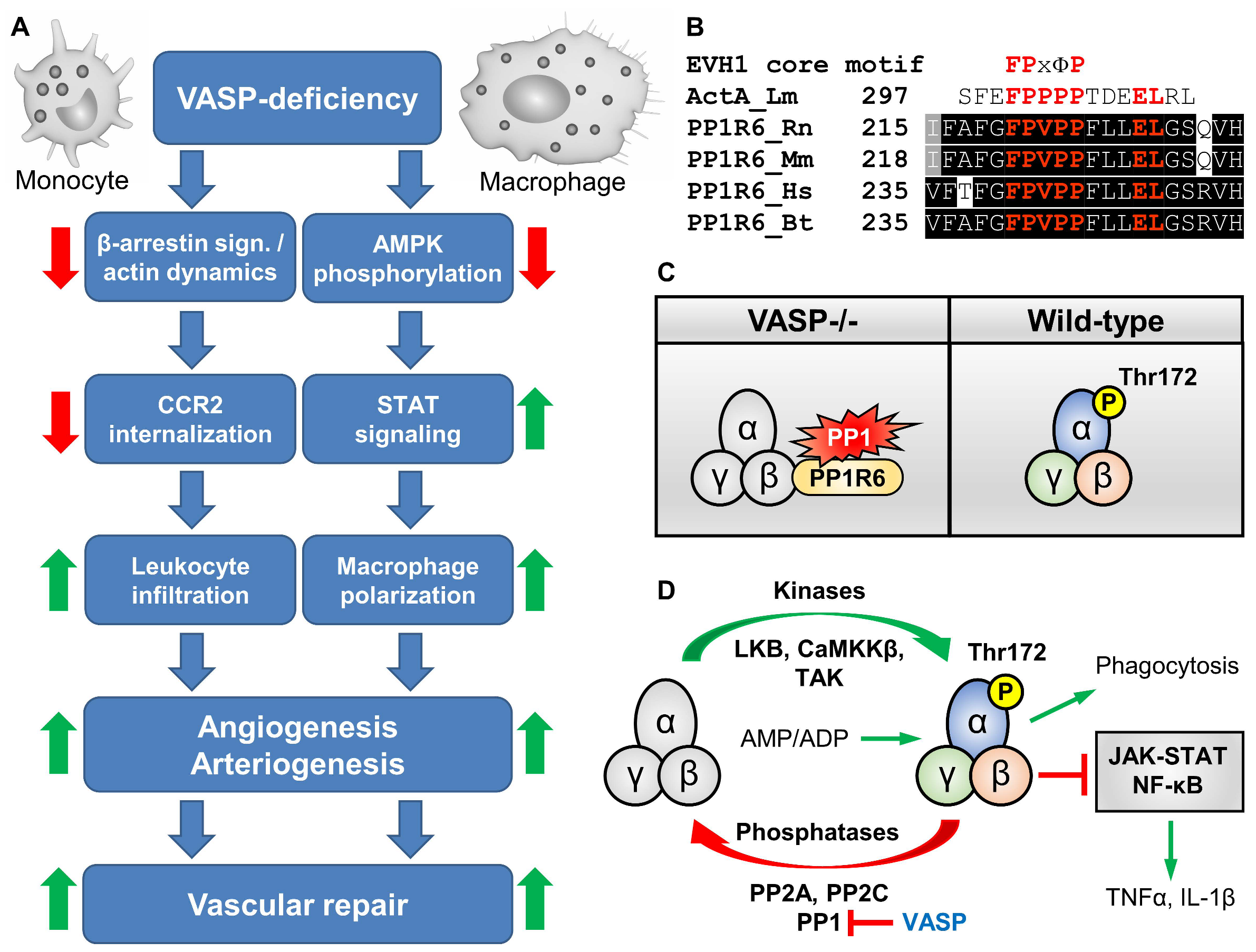 Cells 12 01740 g007 Cells 12 01740 g007