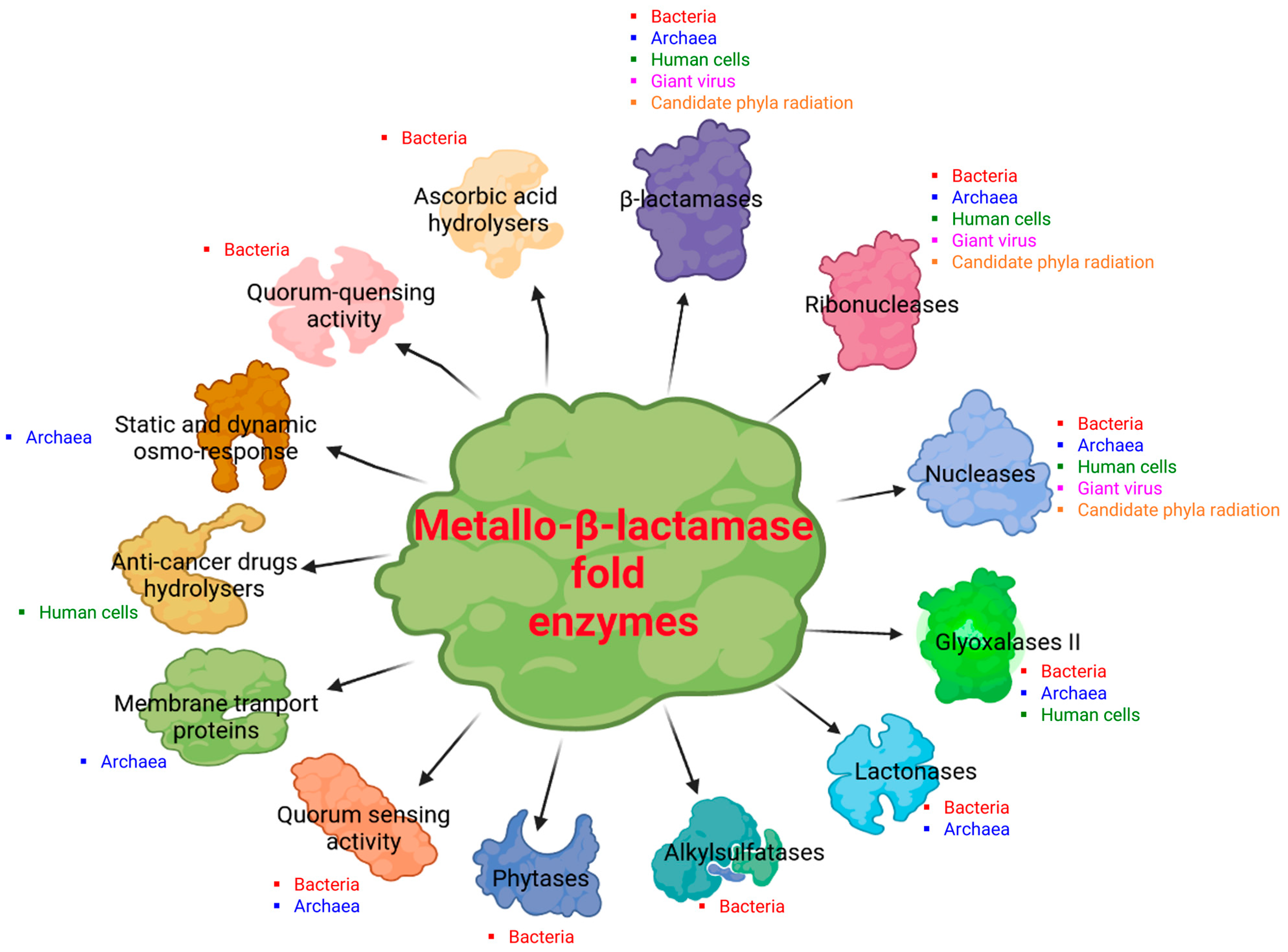Cells 12 01752 g004 Cells 12 01752 g004