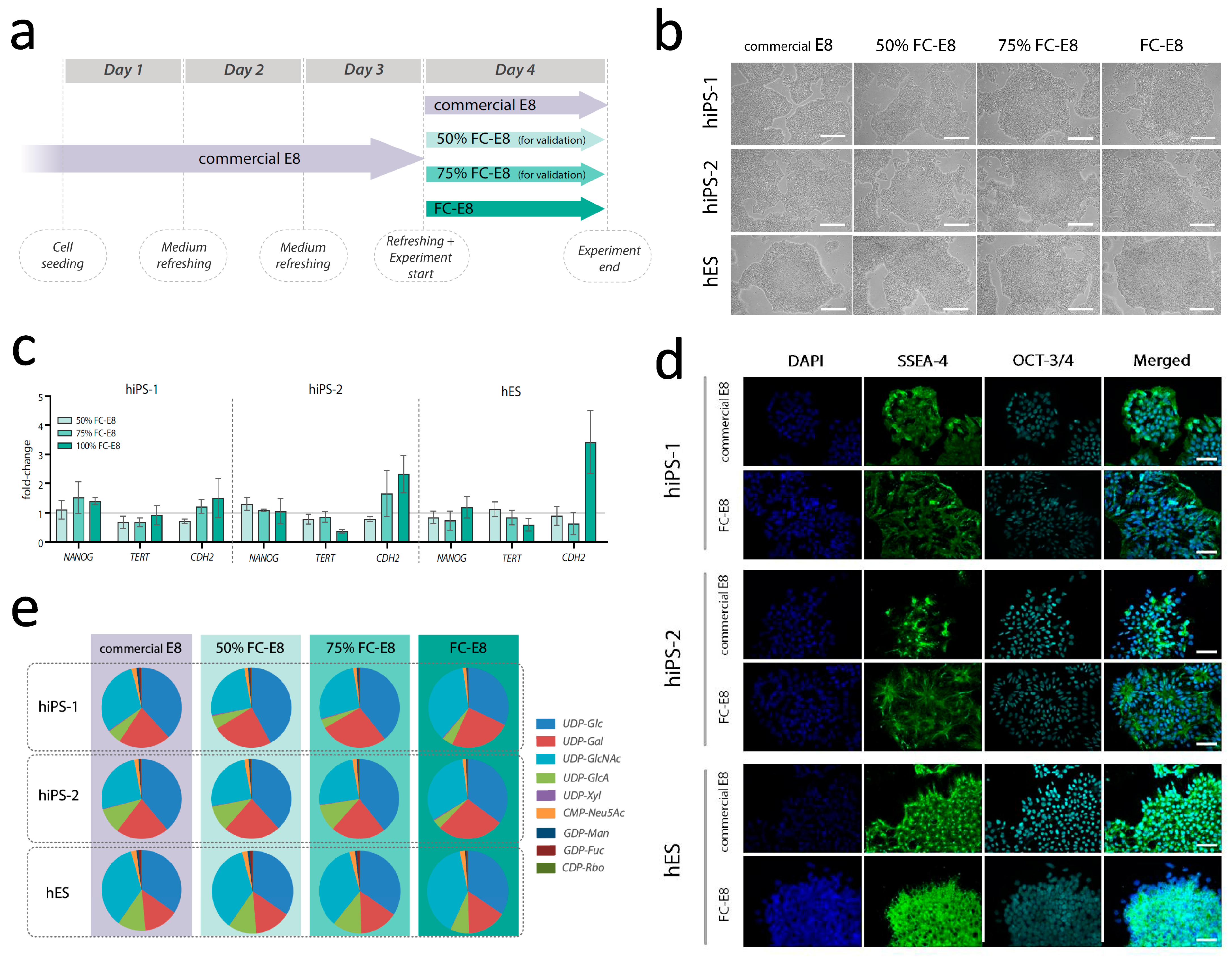Cells 12 01765 g002 Cells 12 01765 g002