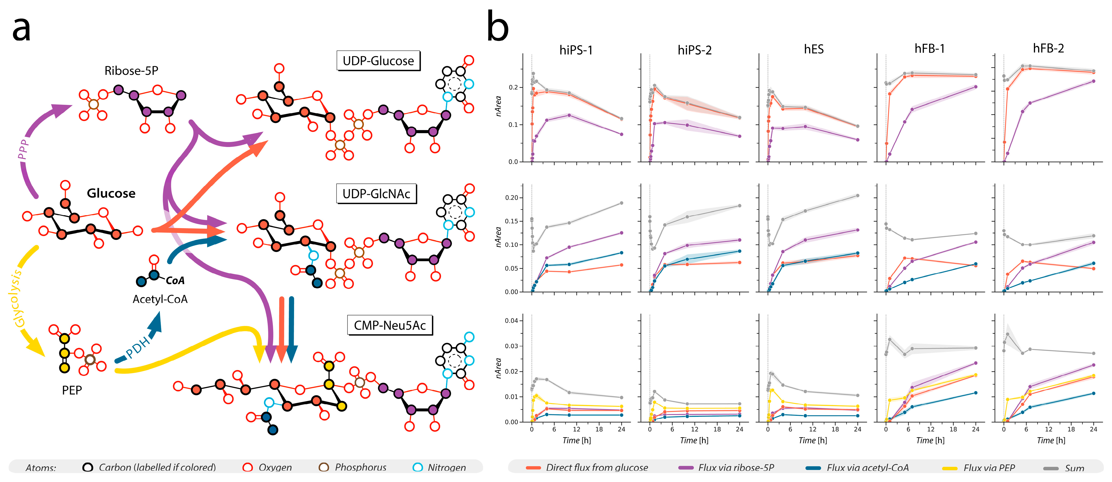 Cells 12 01765 g004 Cells 12 01765 g004