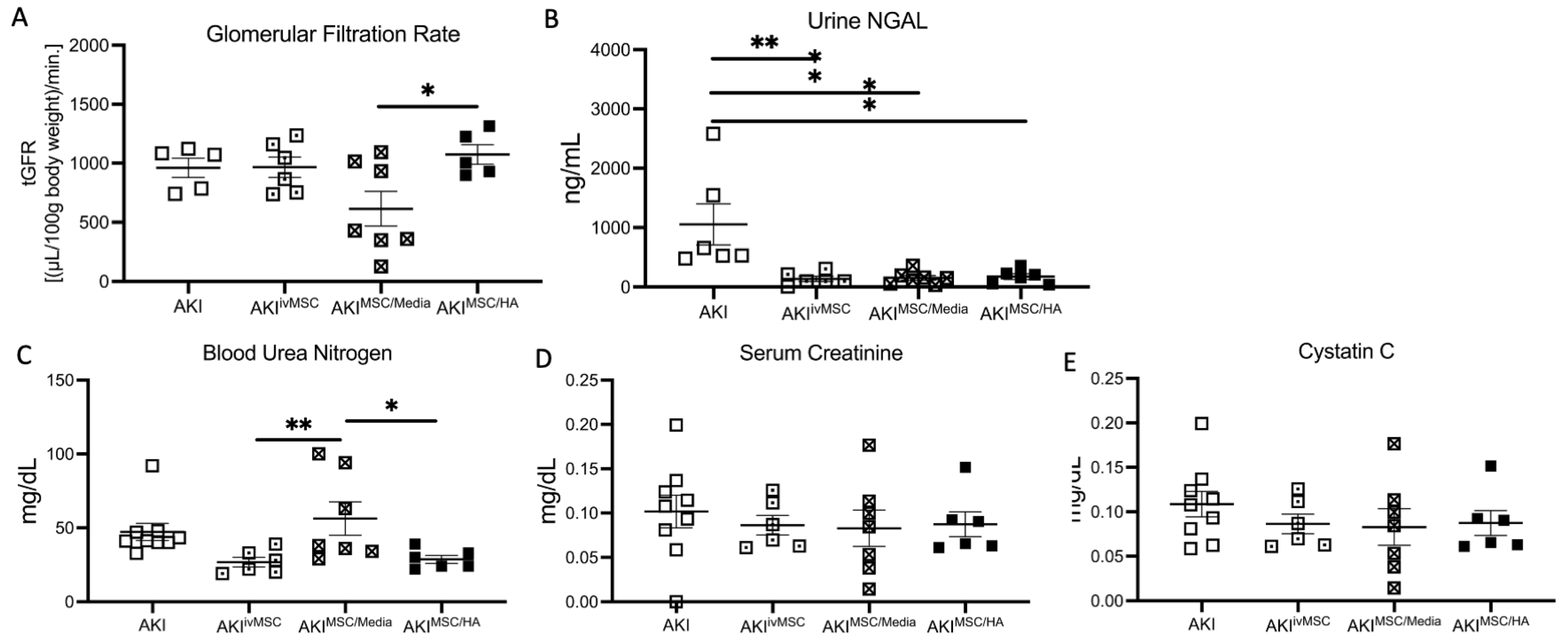 Cells 12 01771 g003 Cells 12 01771 g003