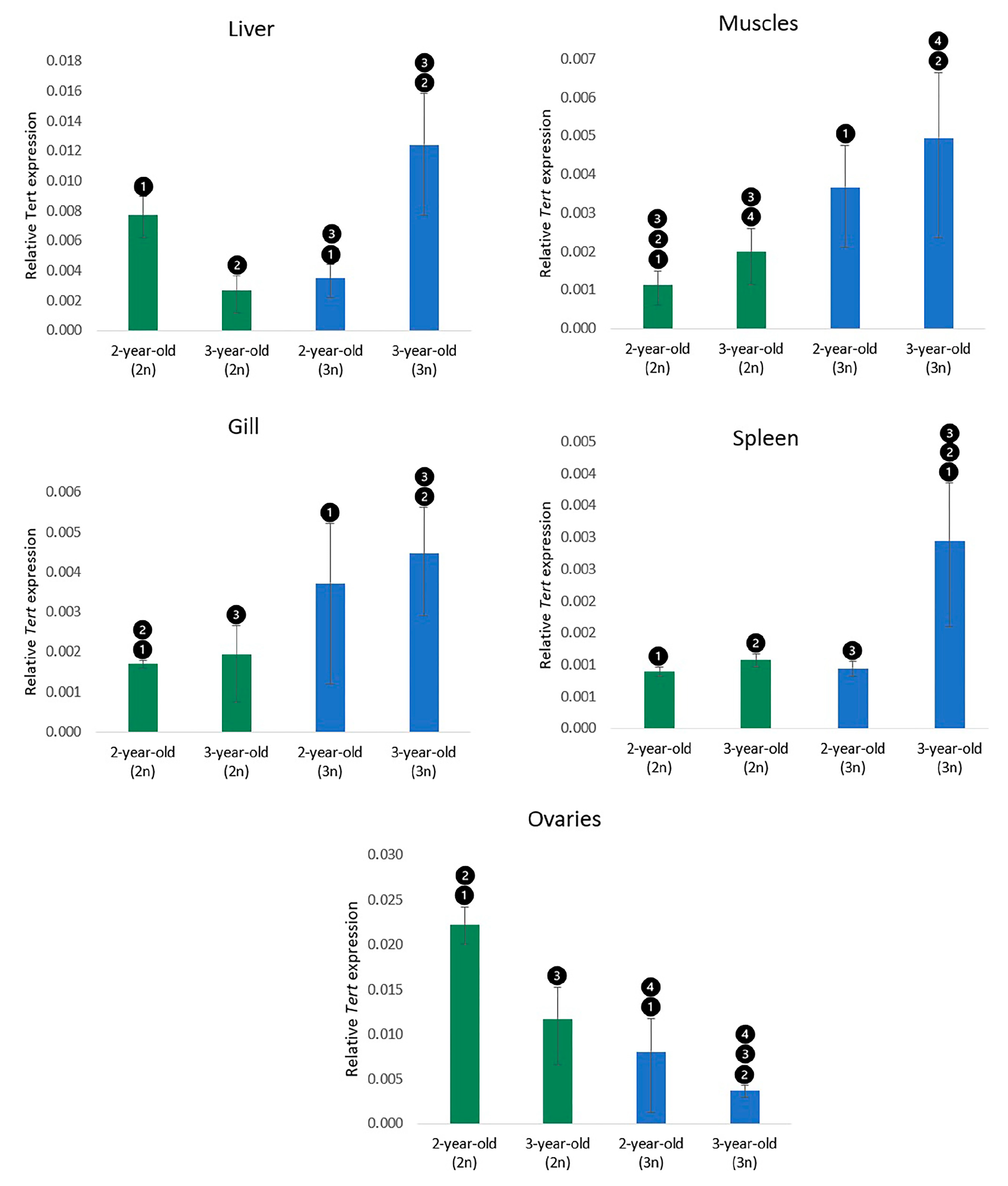 Cells 12 01772 g003 Cells 12 01772 g003