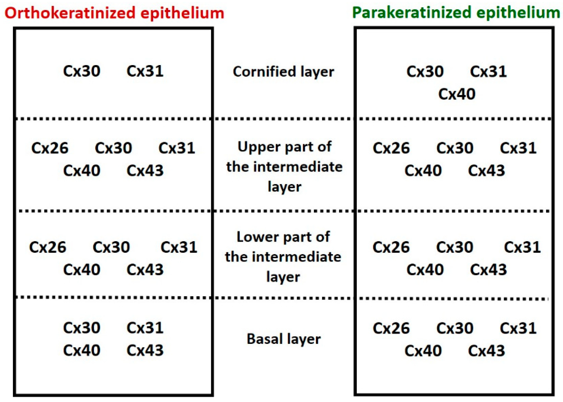 Cells 12 01776 g011 Cells 12 01776 g011