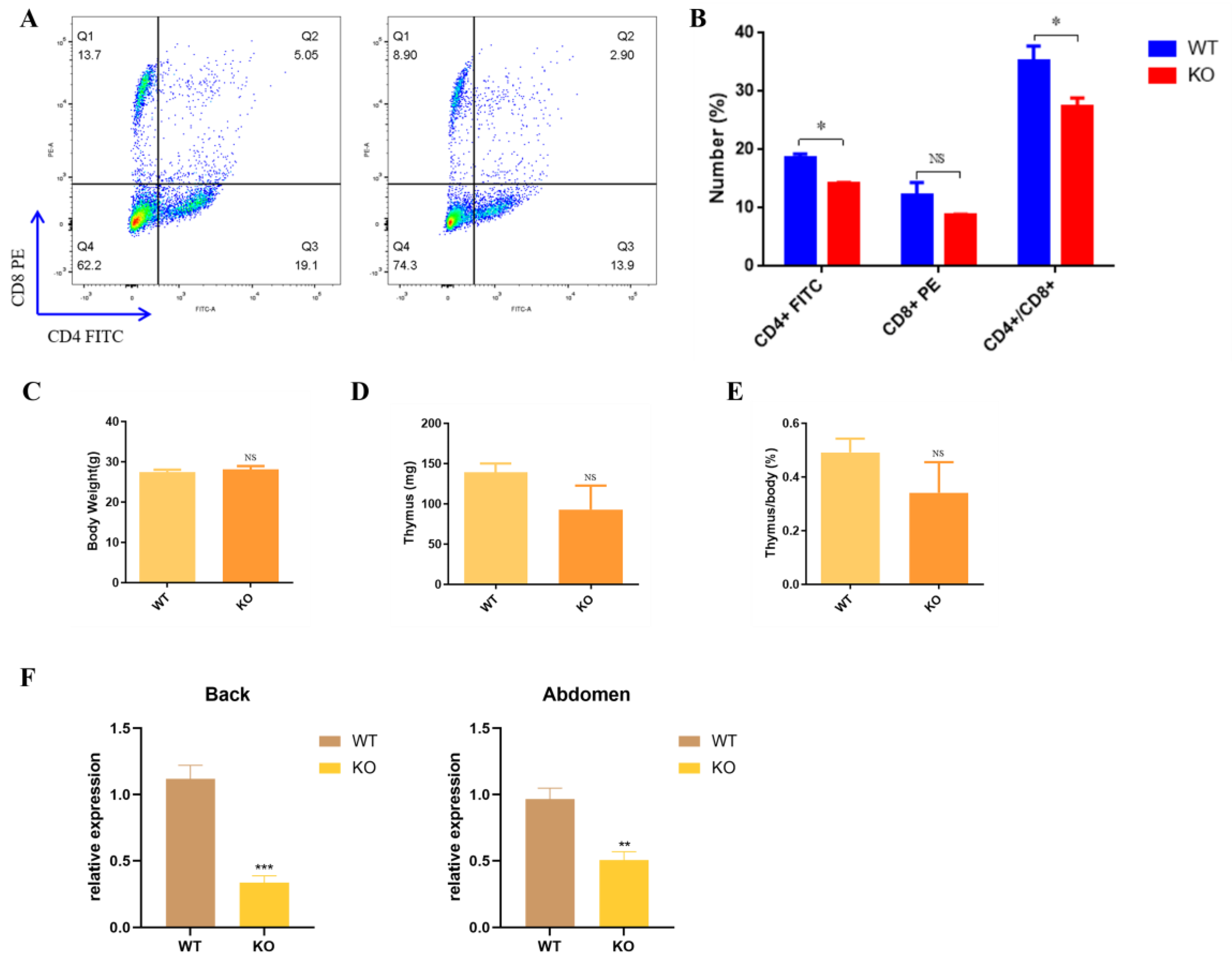 Cells 12 01781 g006 Cells 12 01781 g006