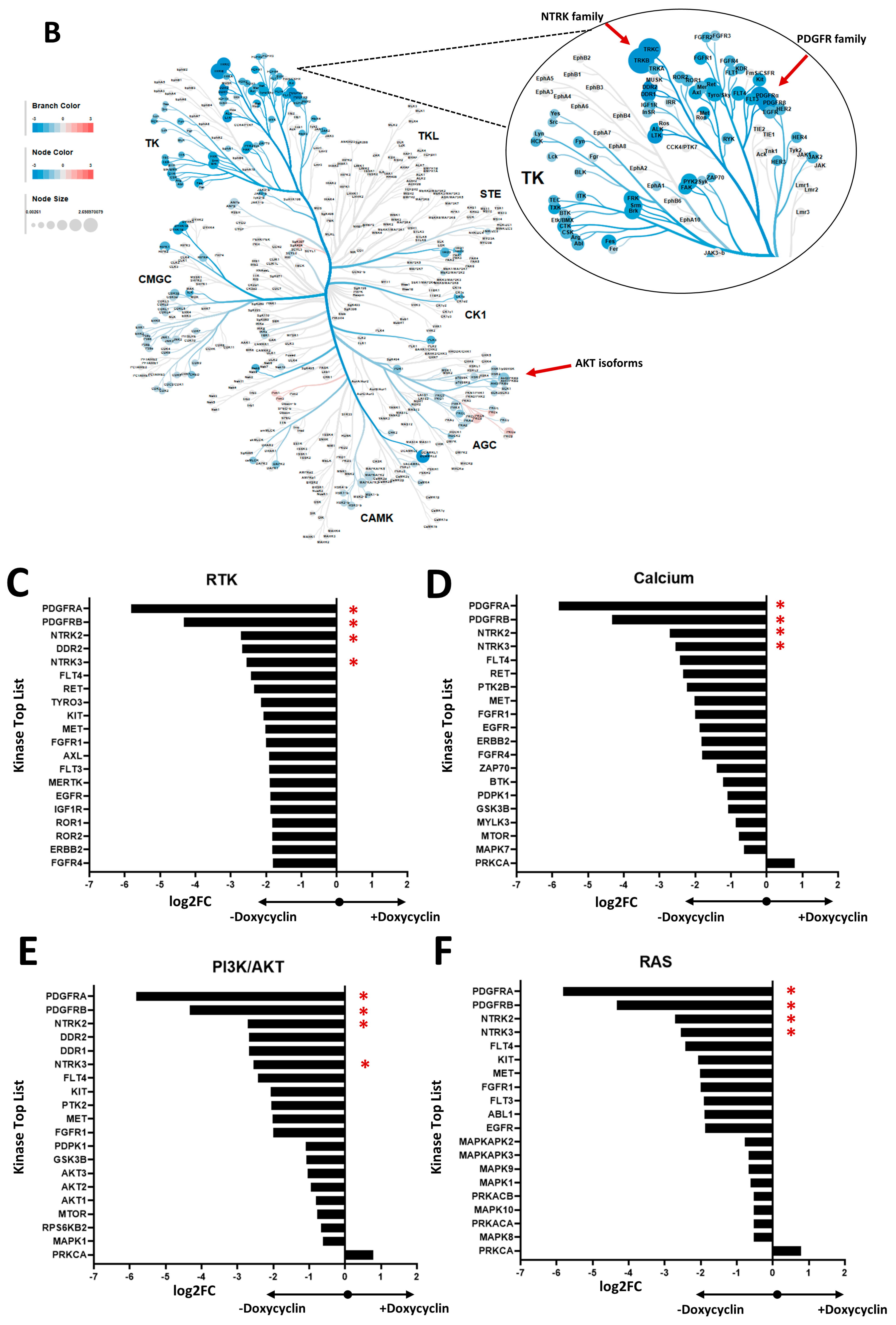 Cells 12 01798 g002b Cells 12 01798 g002b