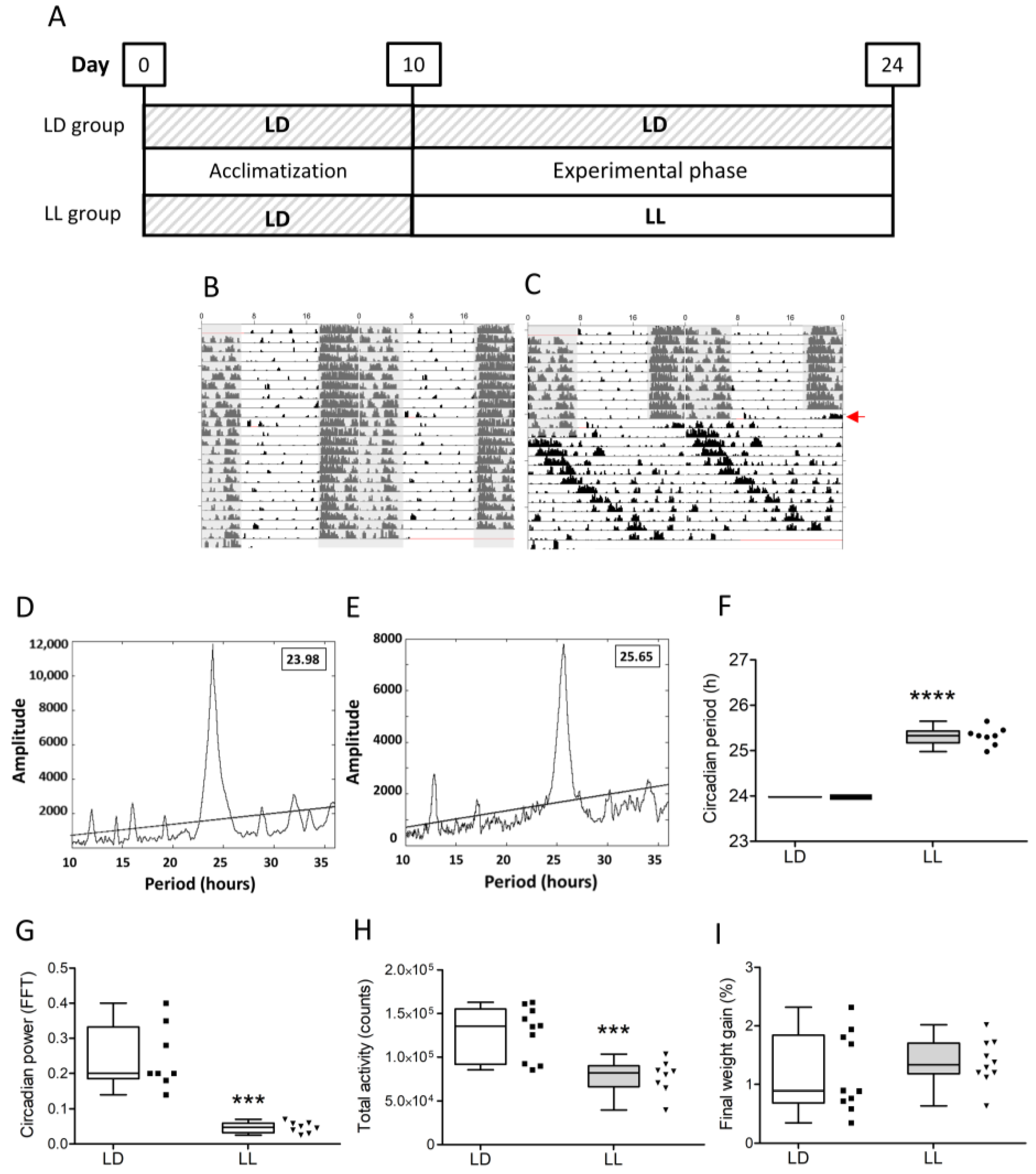 The ubiquitylation of IL-1β limits its cleavage by caspase-1 and targets it  for proteasomal degradation