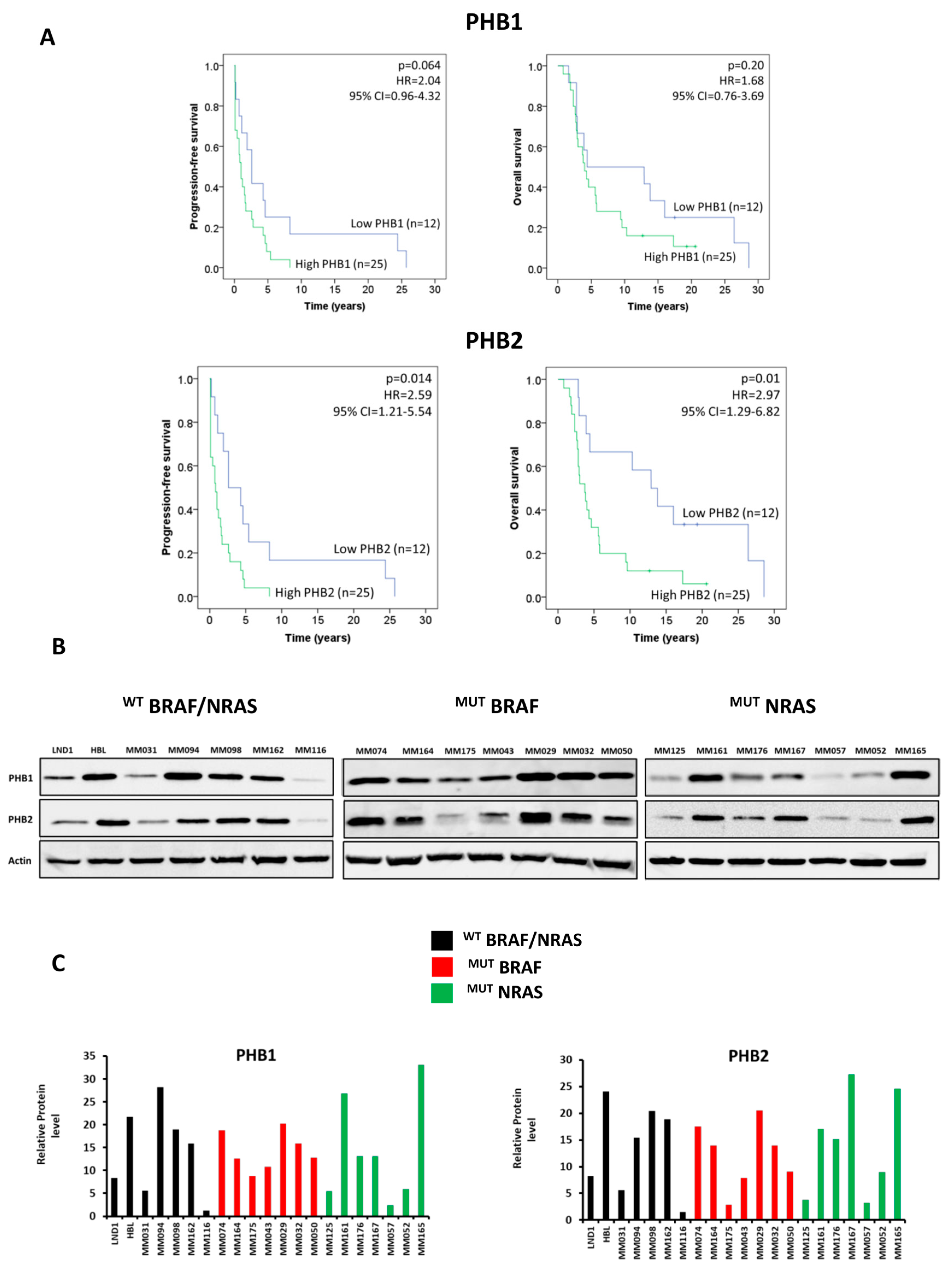 Cells 12 01855 g001 Cells 12 01855 g001