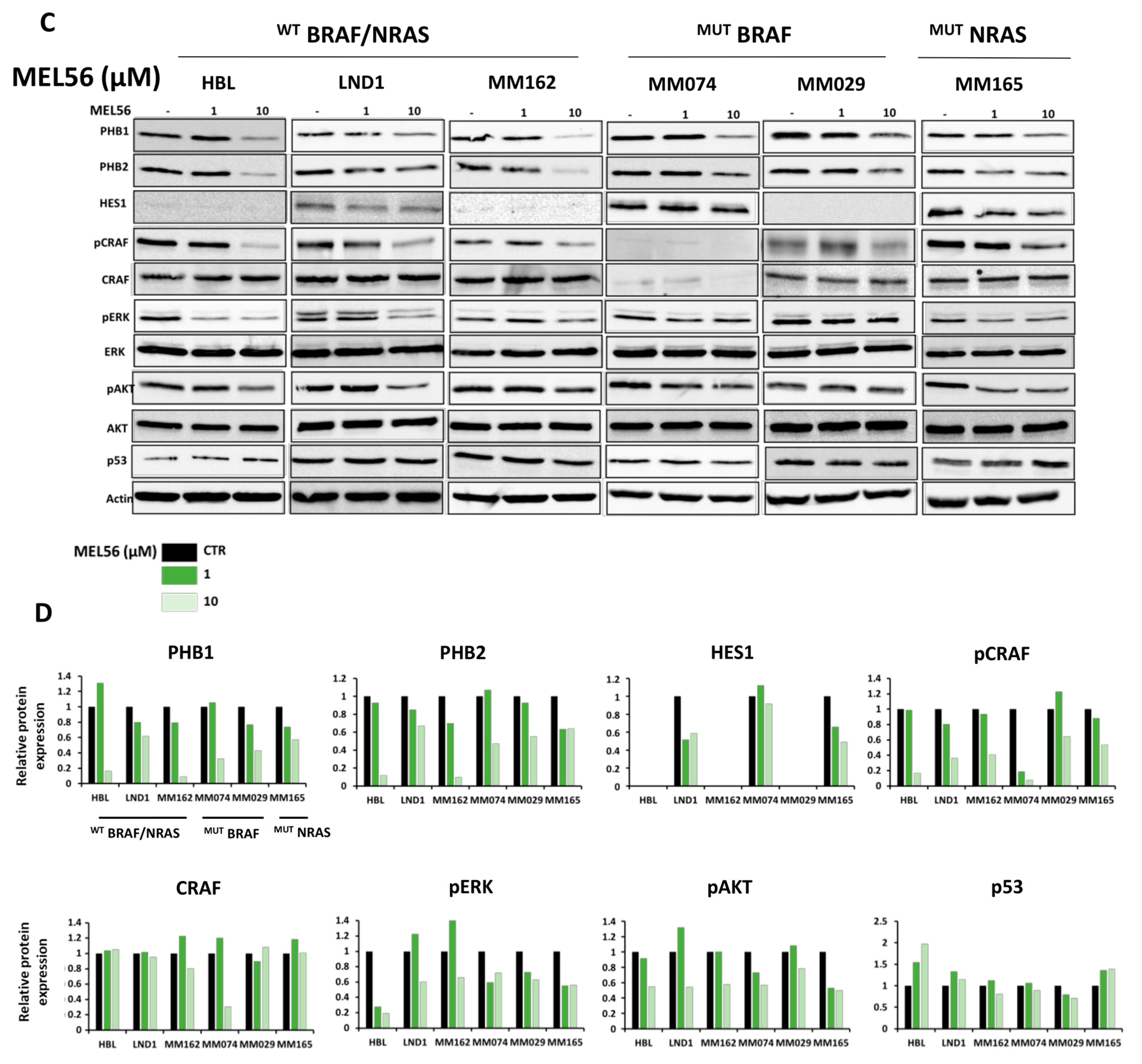 Cells 12 01855 g004b Cells 12 01855 g004b