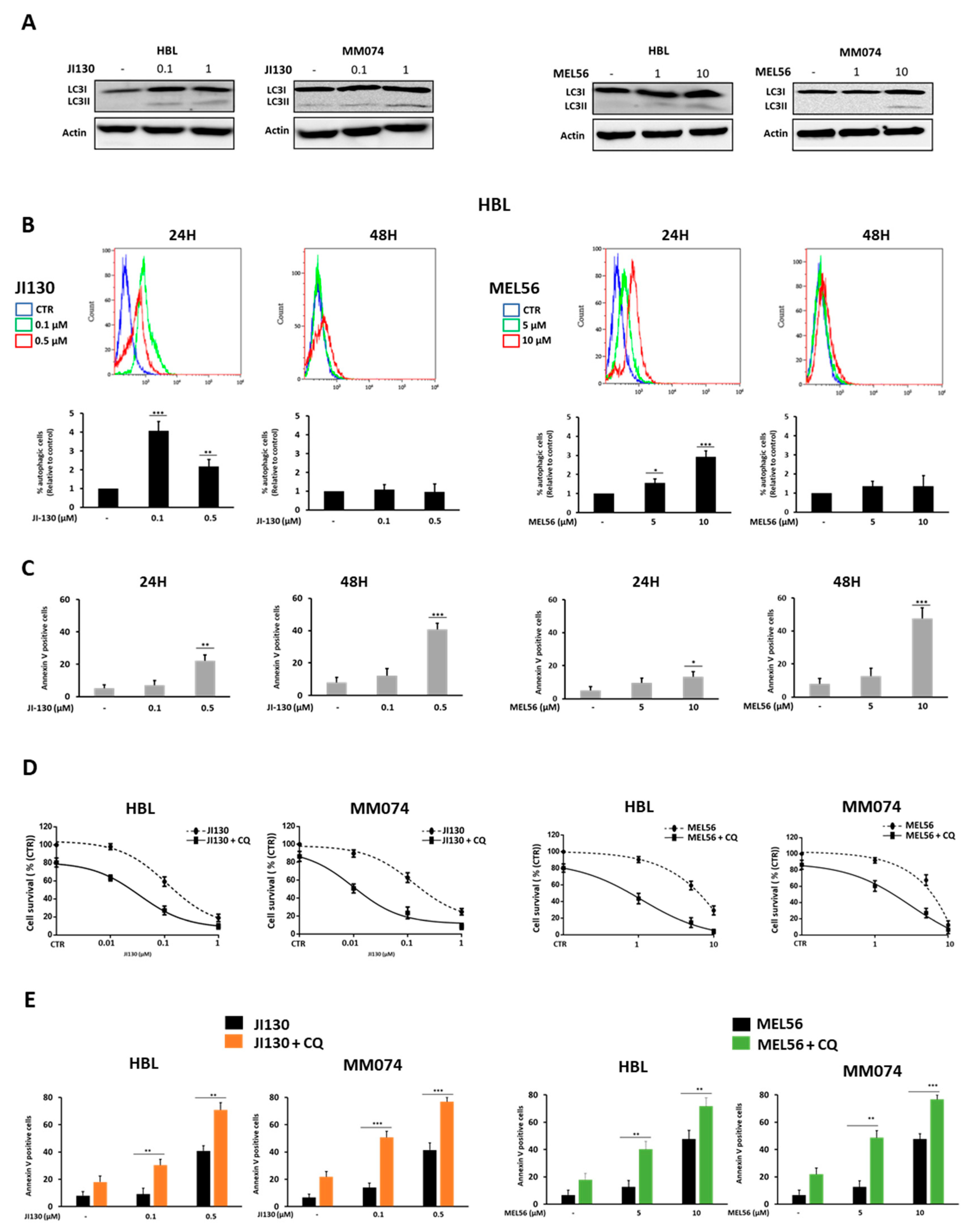 Cells 12 01855 g005 Cells 12 01855 g005