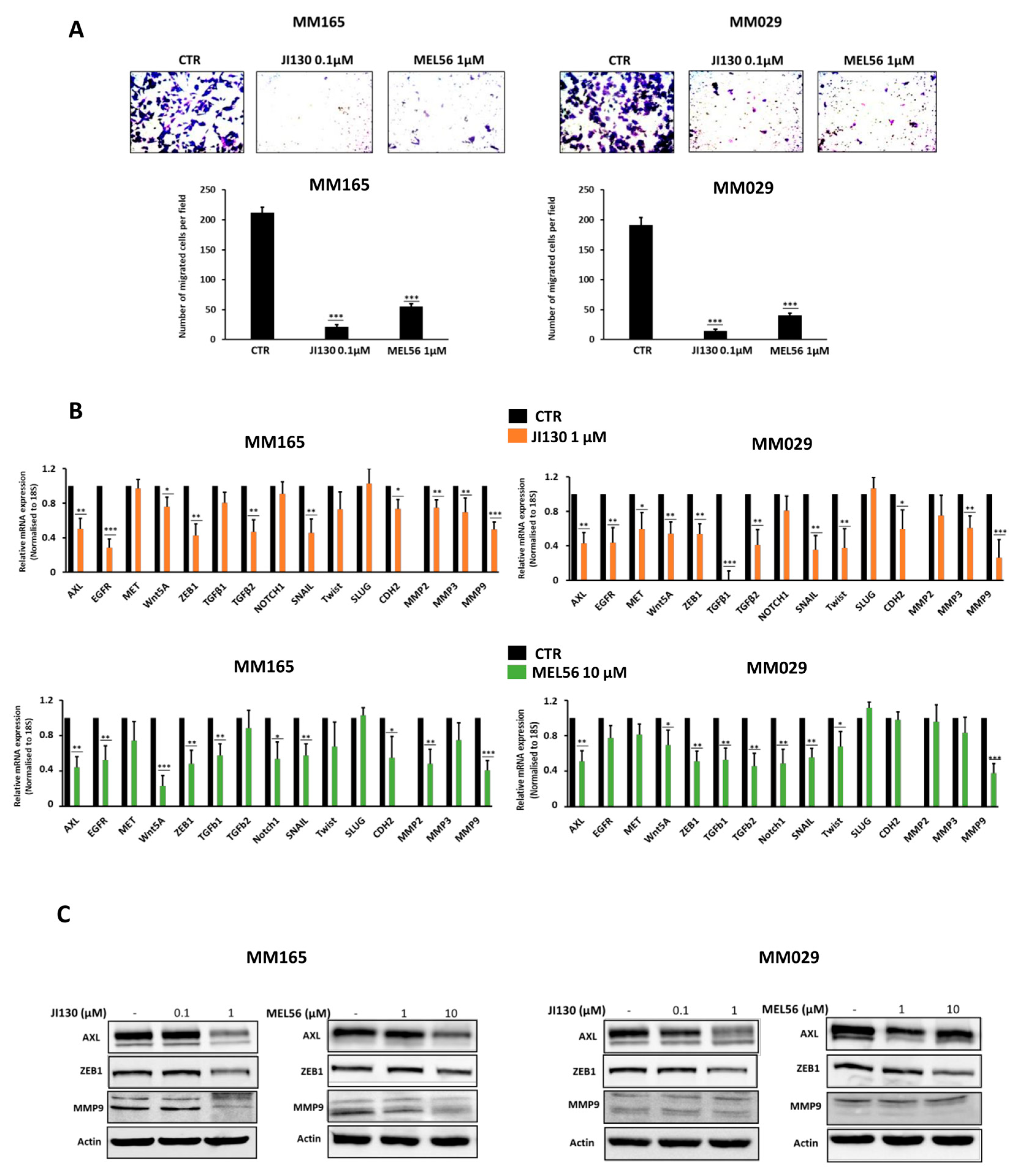 Cells 12 01855 g006 Cells 12 01855 g006