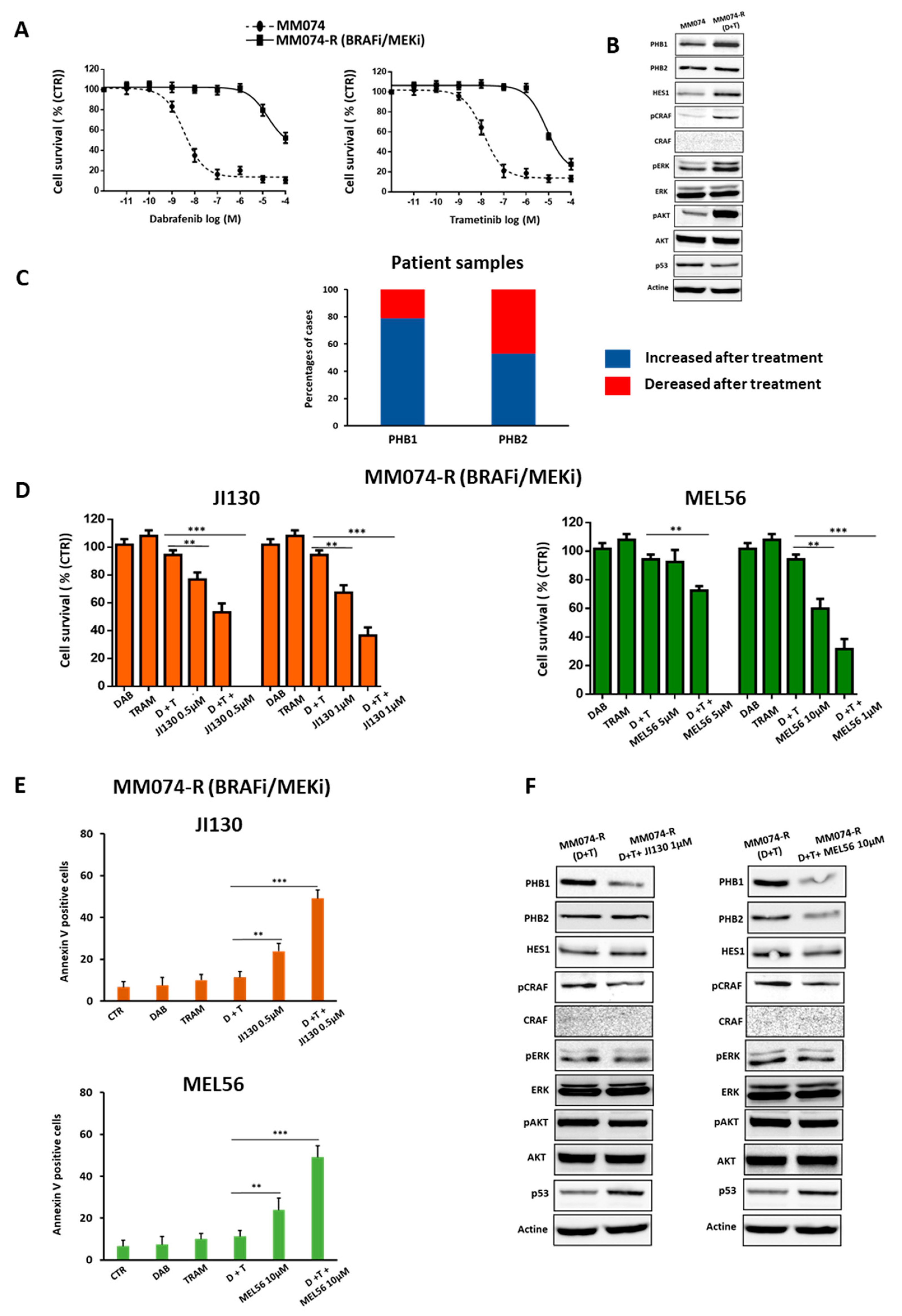 Cells 12 01855 g007 Cells 12 01855 g007