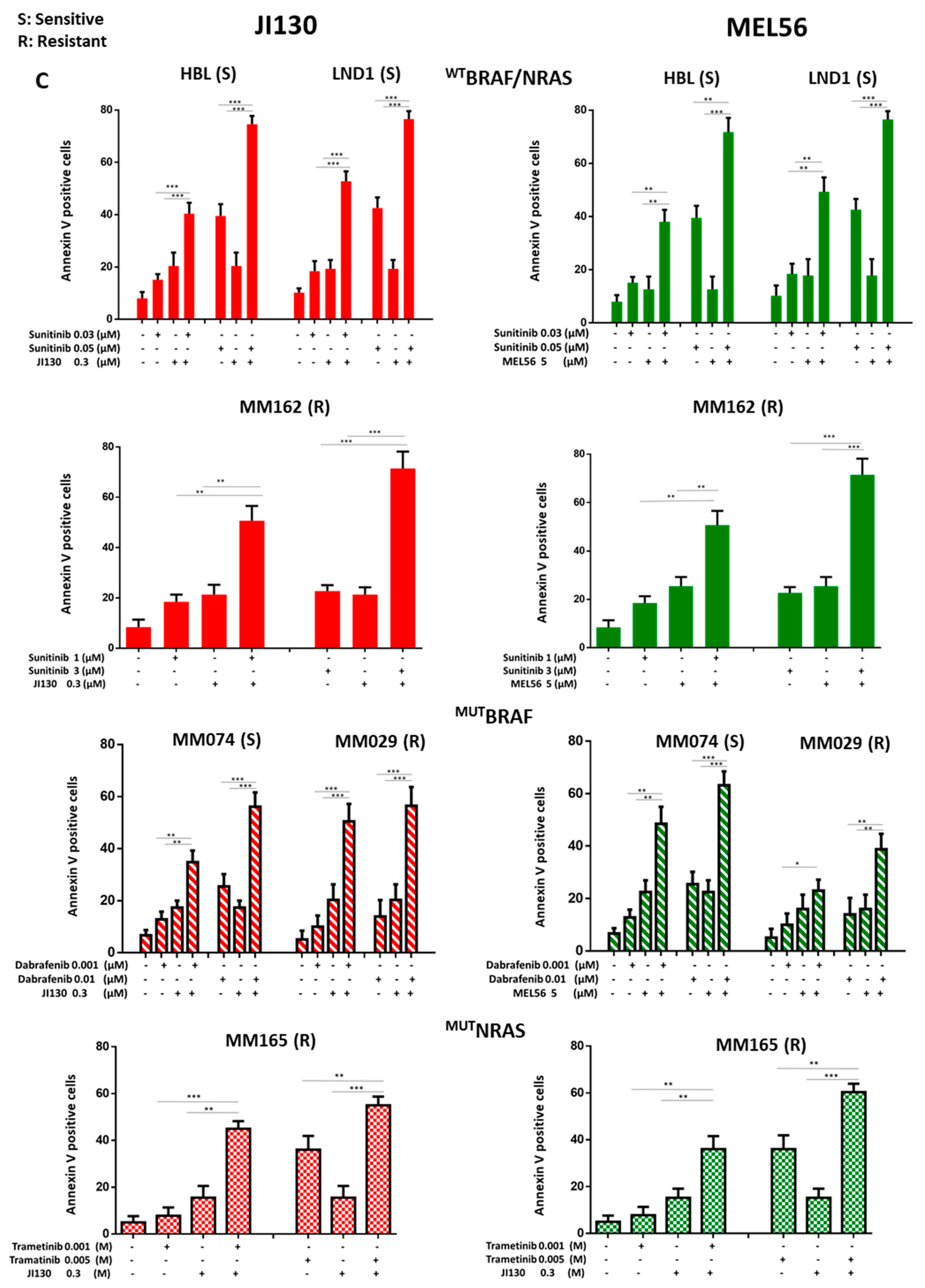 Cells 12 01855 g008b Cells 12 01855 g008b