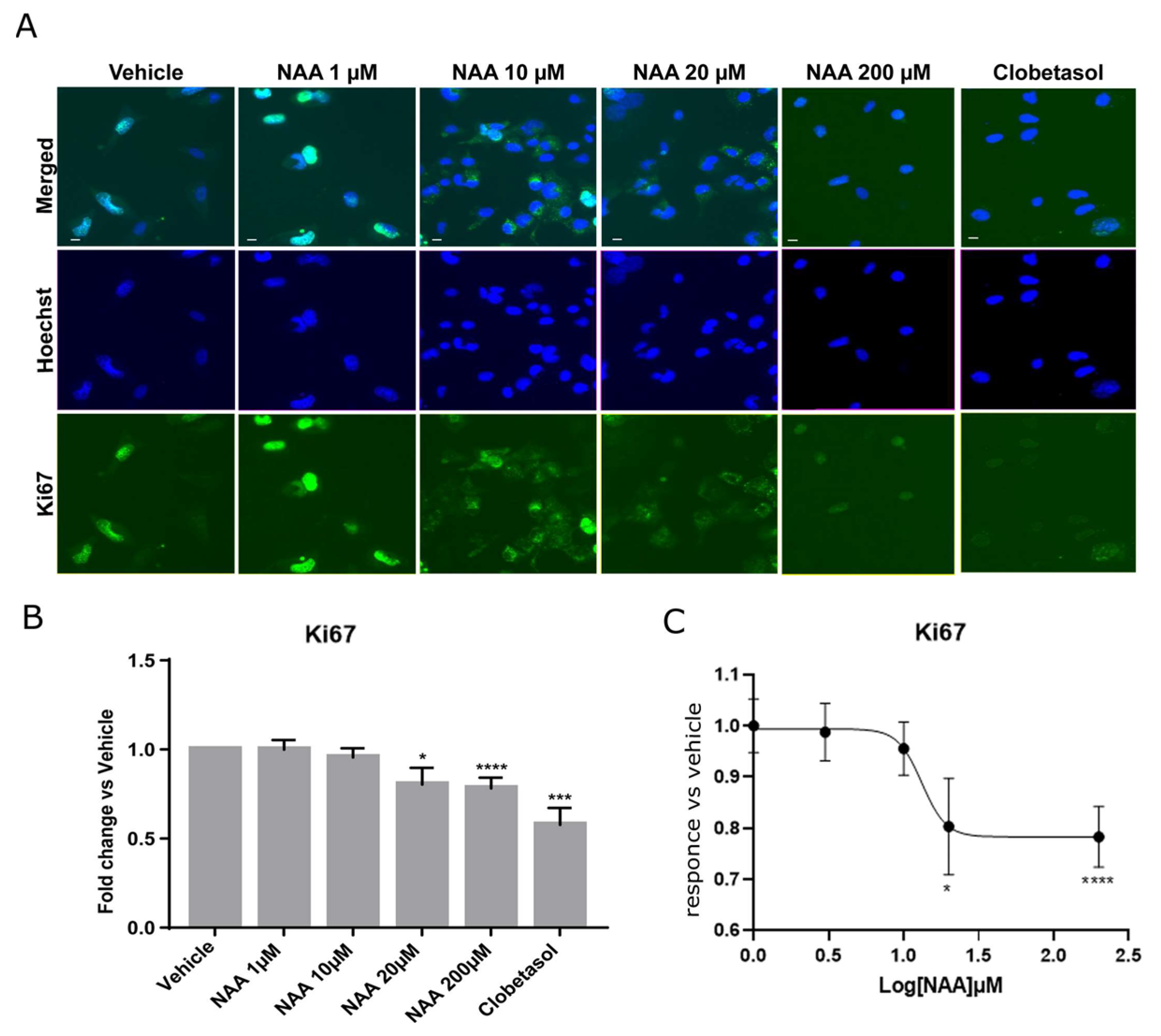 Cells 12 01861 g001 Cells 12 01861 g001
