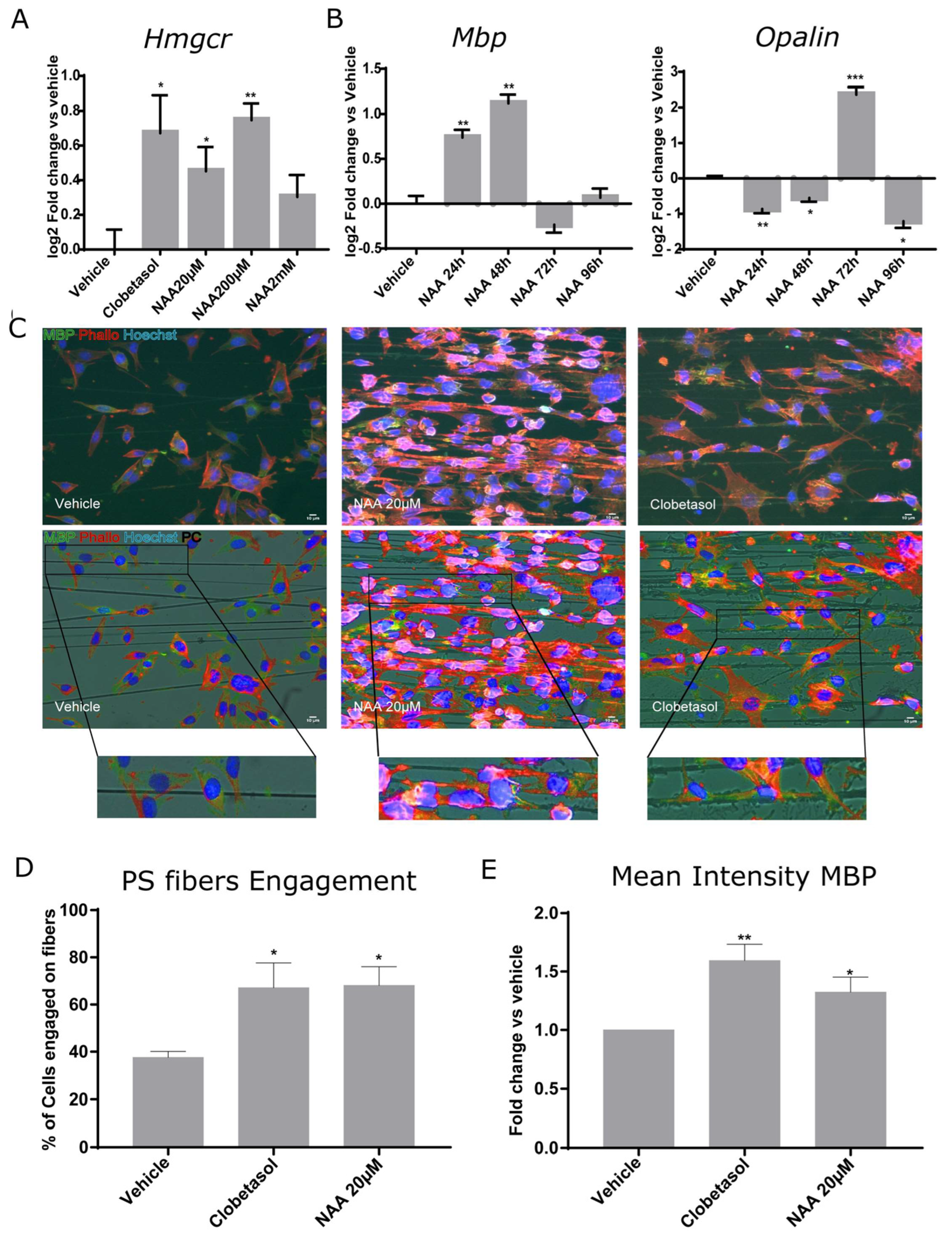 Cells 12 01861 g003 Cells 12 01861 g003