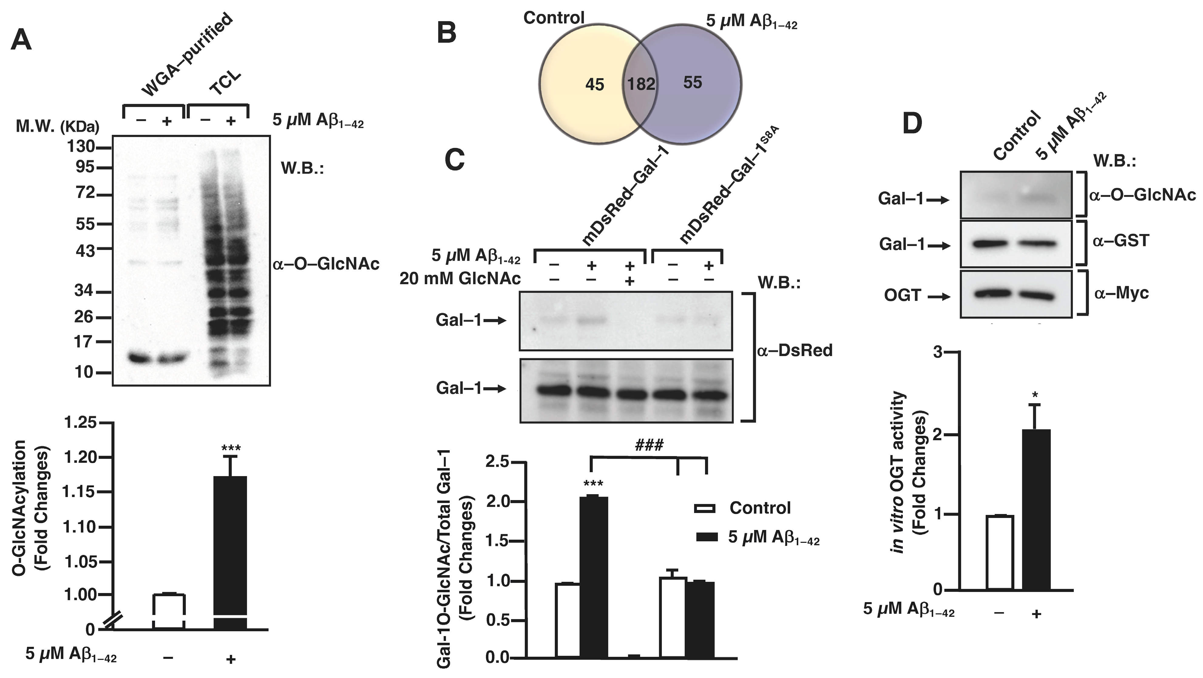 Cells | Free Full-Text | Amyloid β1–42 Oligomers Induce