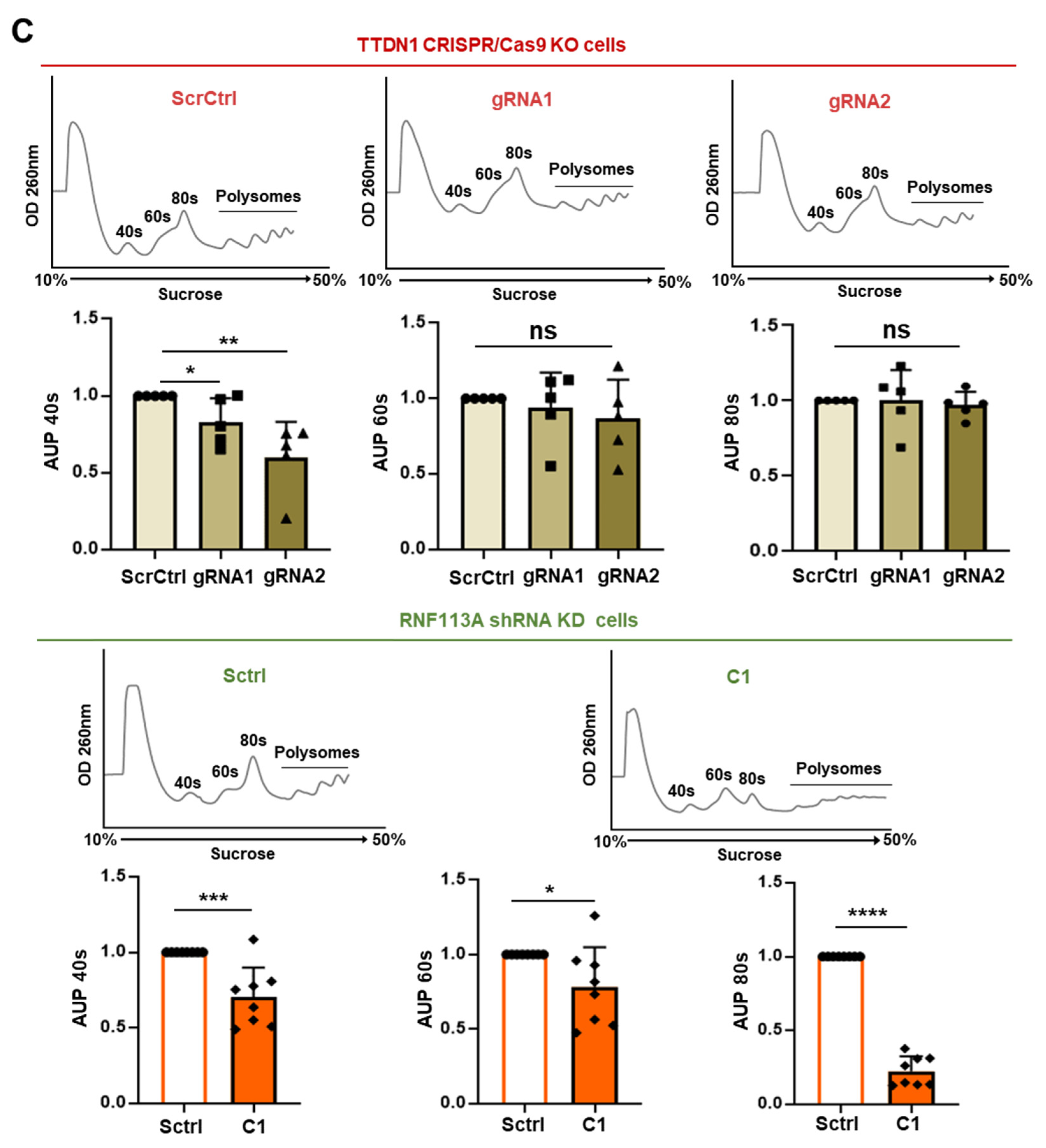 Cells 12 01877 g003b