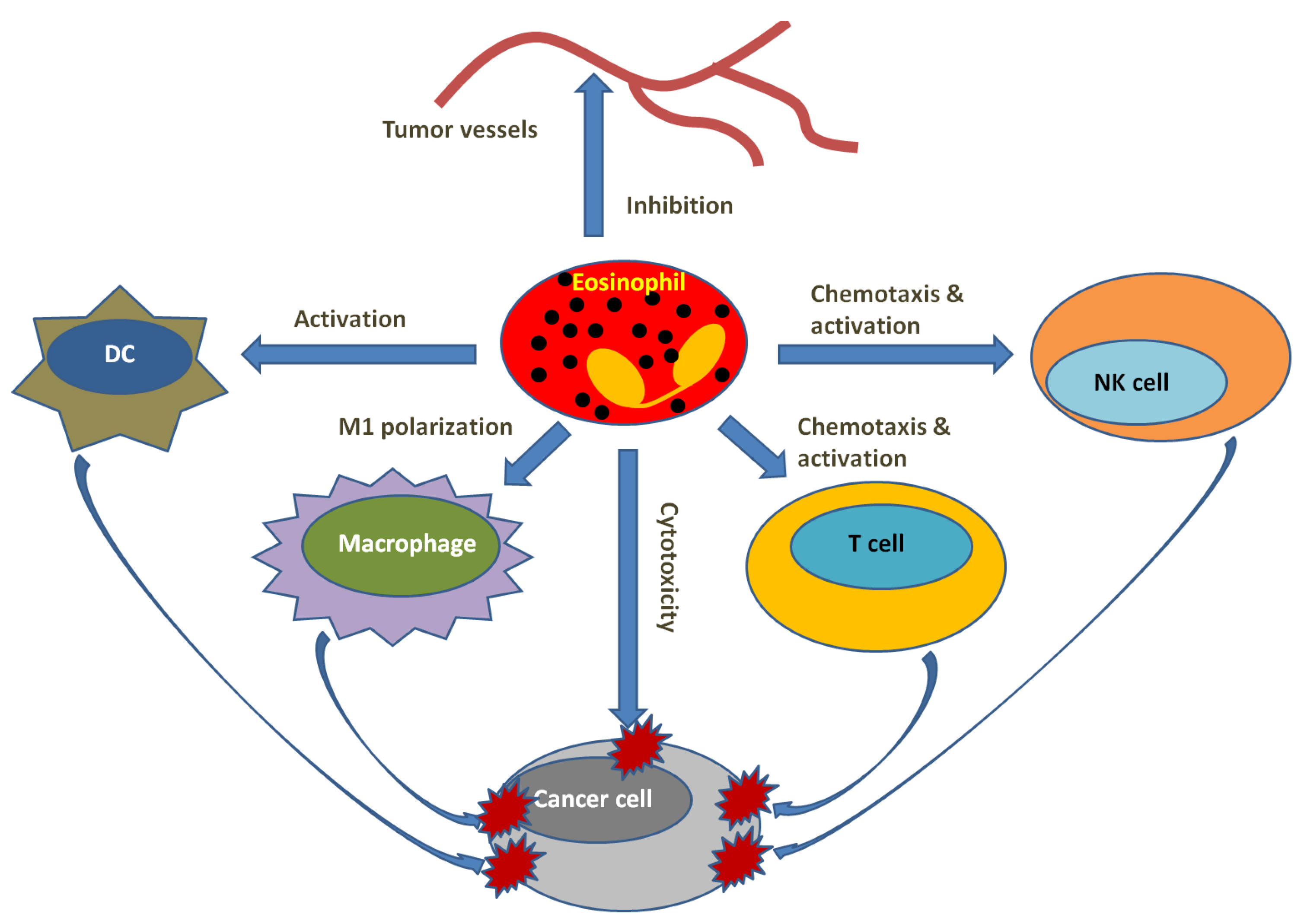 Cells 12 01882 g005 Cells 12 01882 g005
