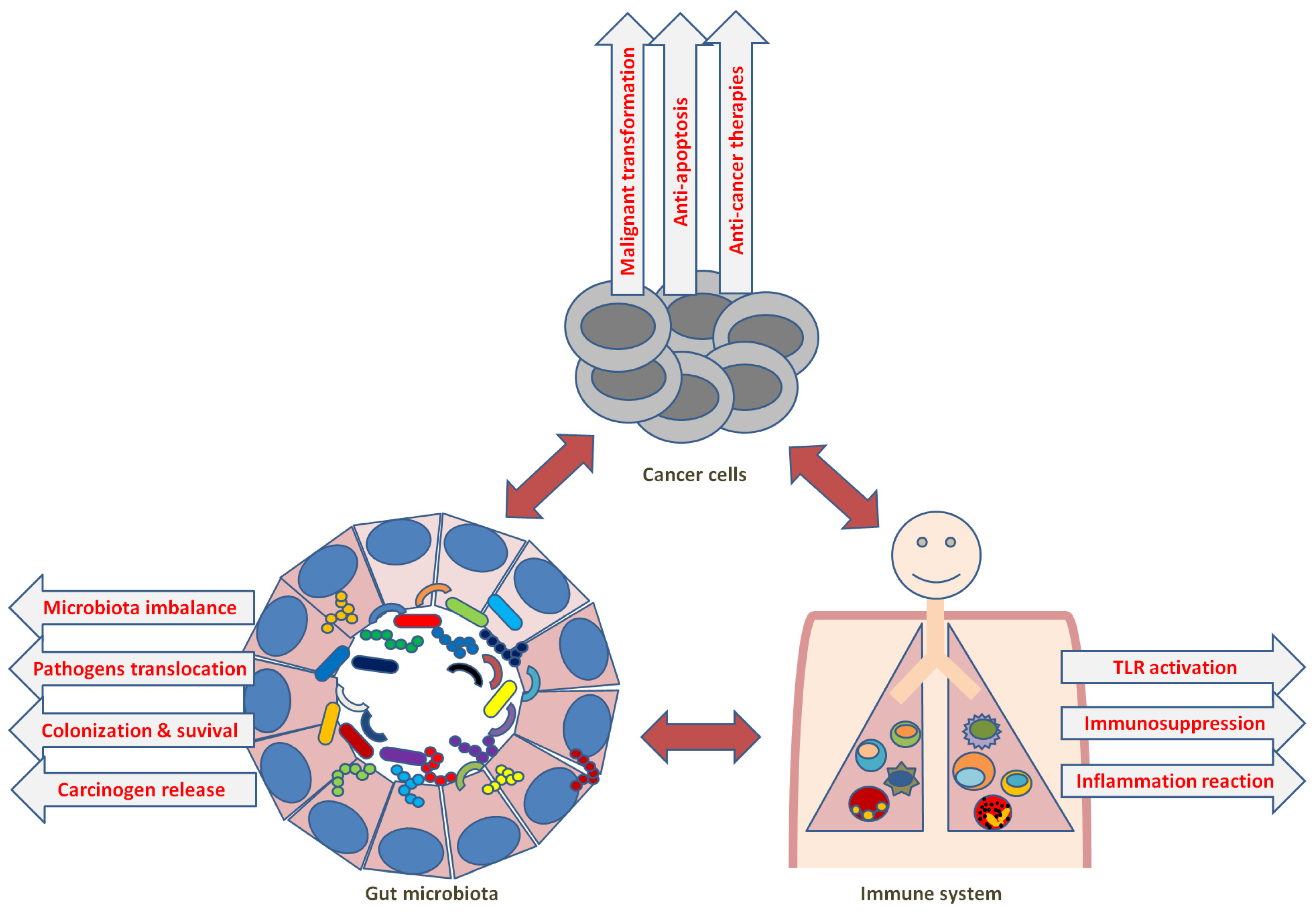 Cells 12 01882 g006 Cells 12 01882 g006