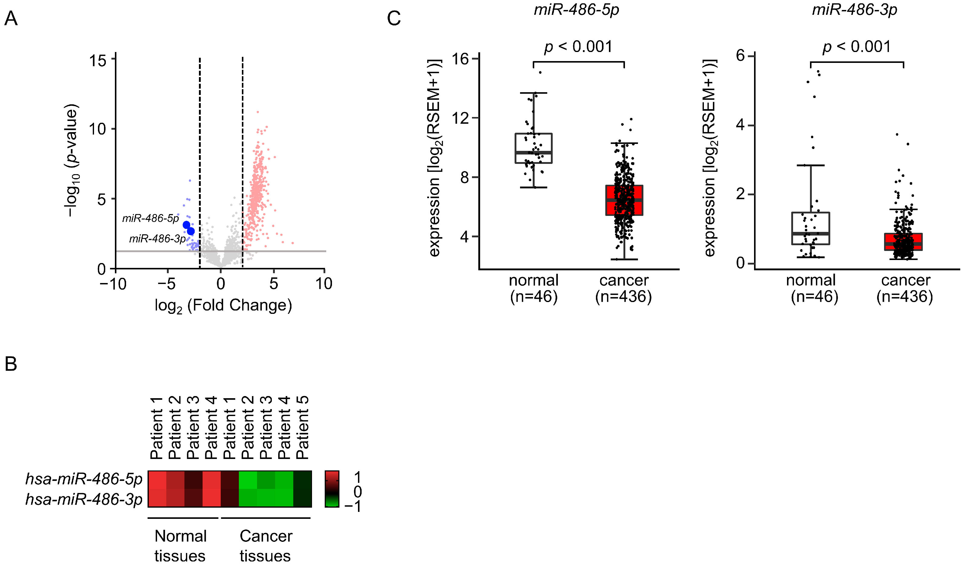 Cells 12 01885 g001 Cells 12 01885 g001