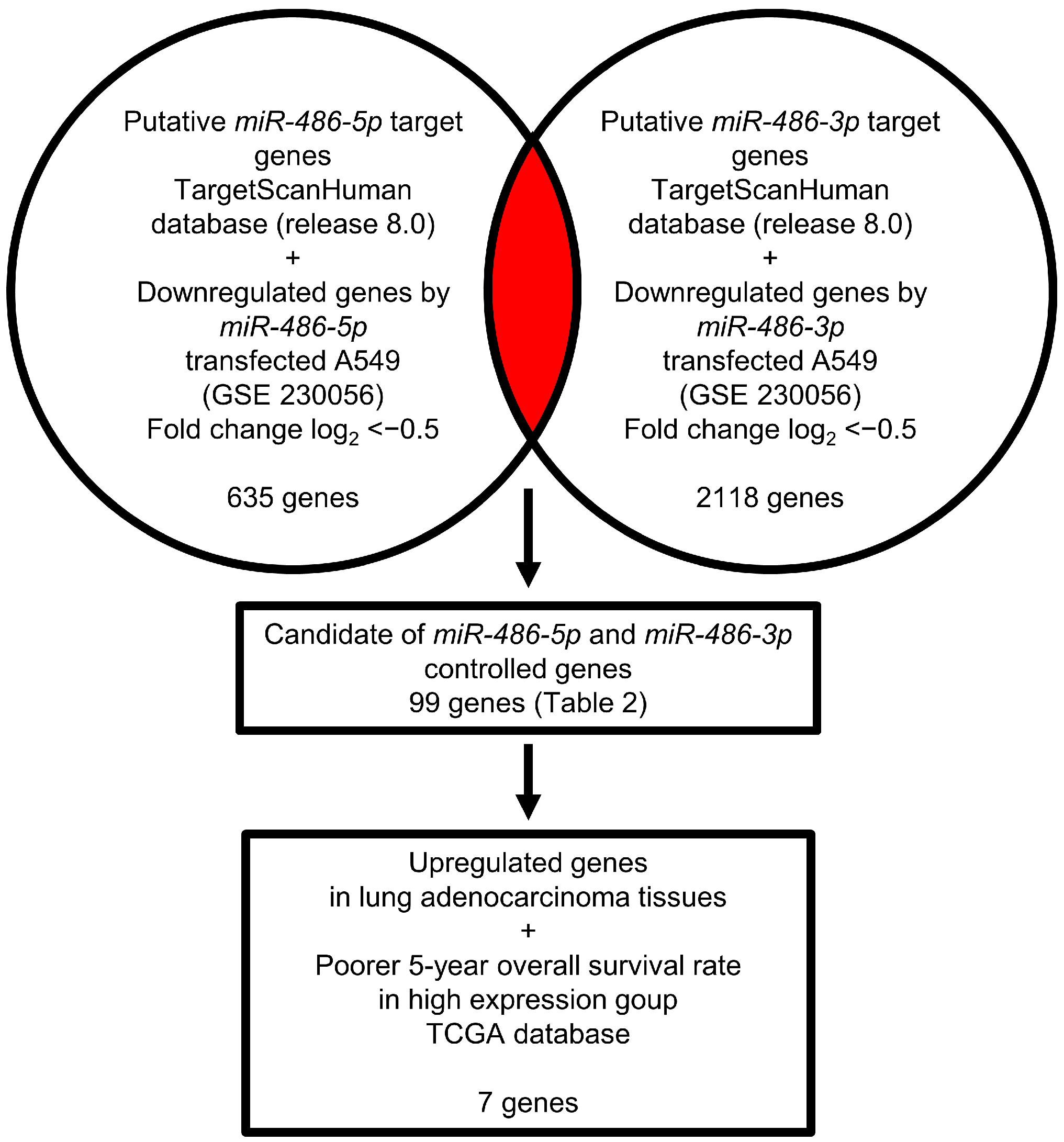 Cells 12 01885 g003 Cells 12 01885 g003