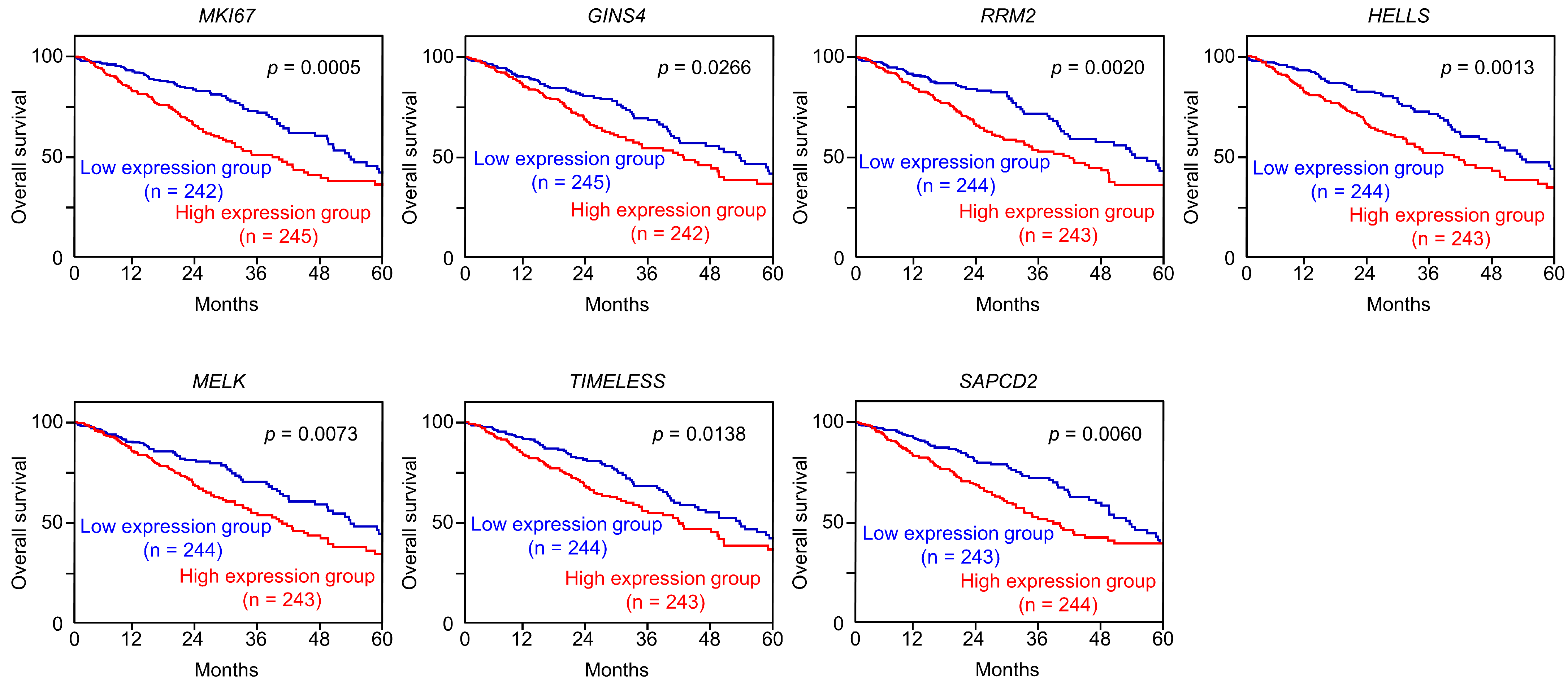 Cells 12 01885 g005 Cells 12 01885 g005