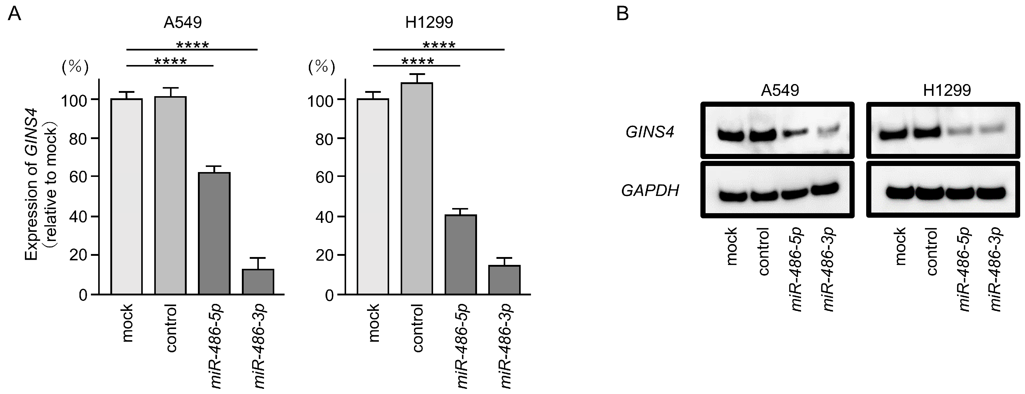 Cells 12 01885 g006 Cells 12 01885 g006