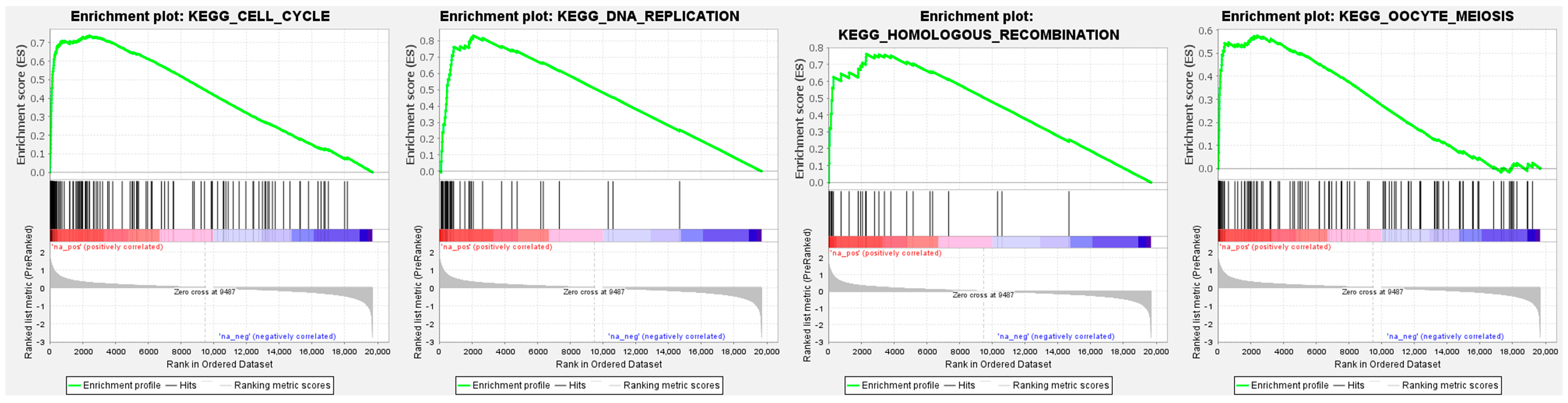 Cells 12 01885 g010 Cells 12 01885 g010