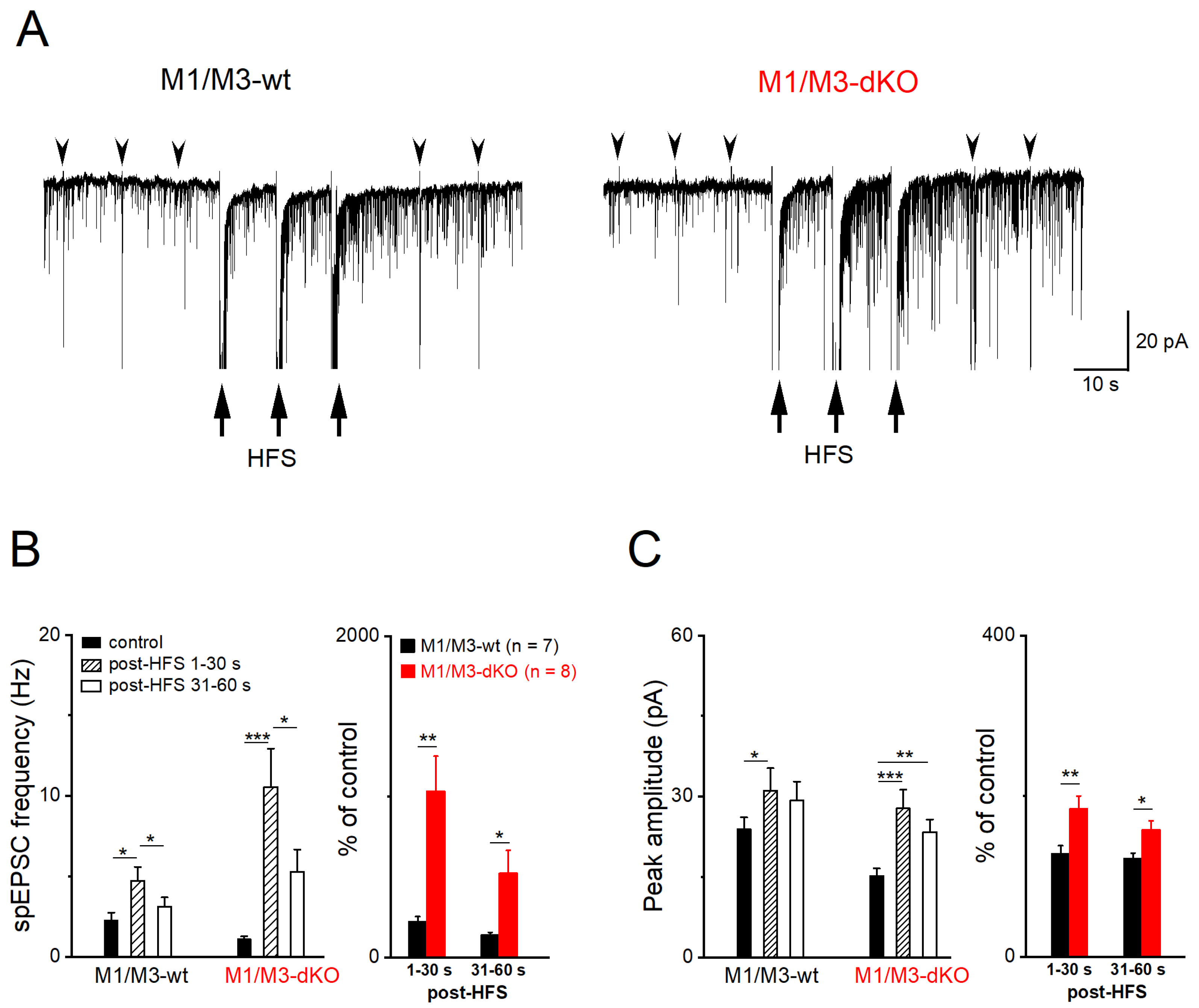 Cells 12 01890 g003 Cells 12 01890 g003