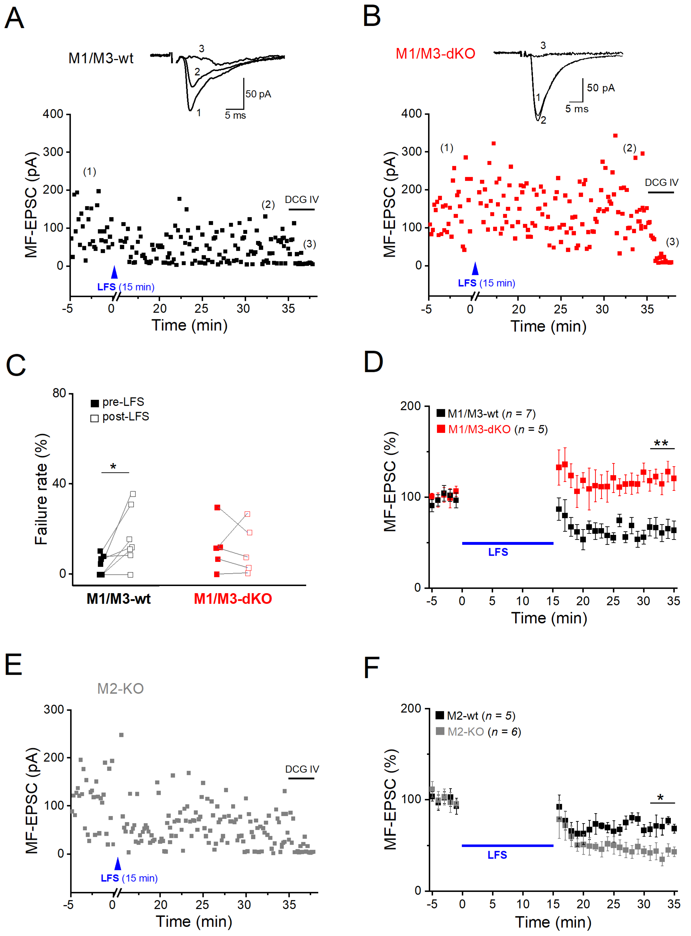 Cells 12 01890 g005 Cells 12 01890 g005