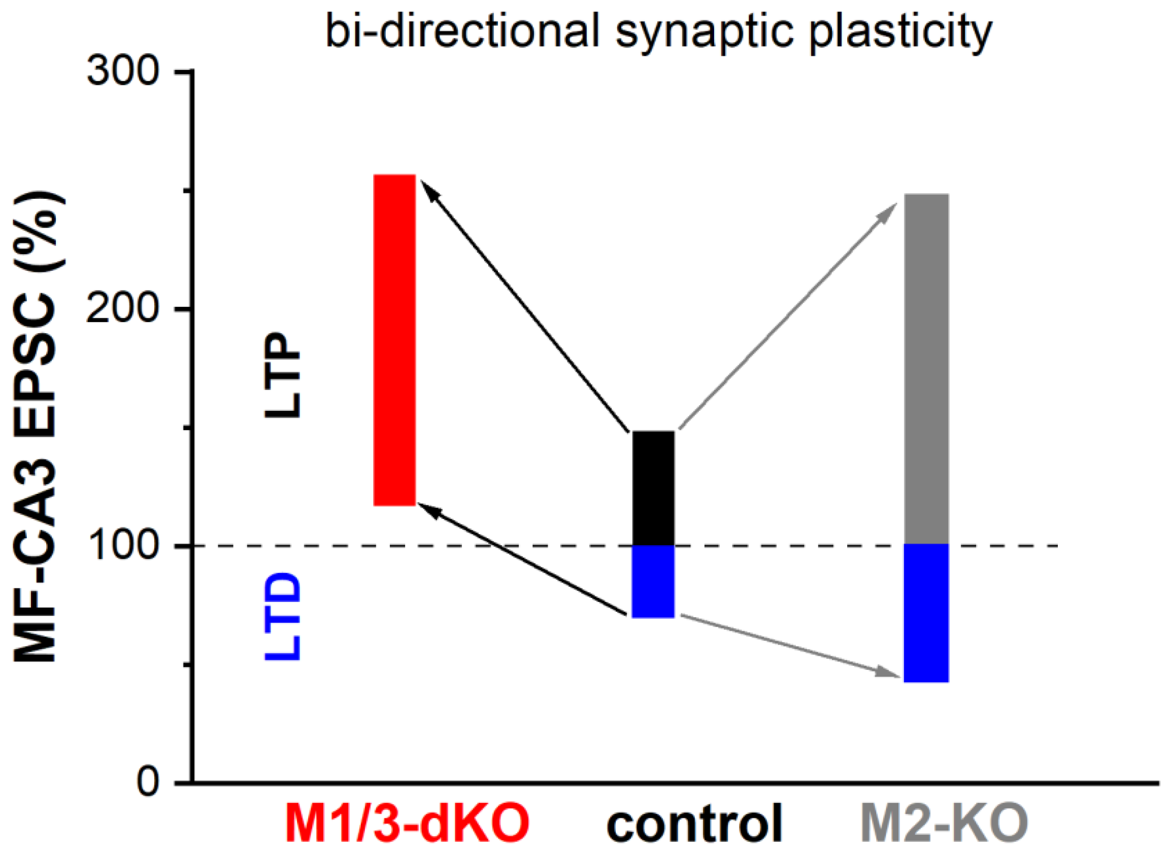 Cells 12 01890 g006 Cells 12 01890 g006