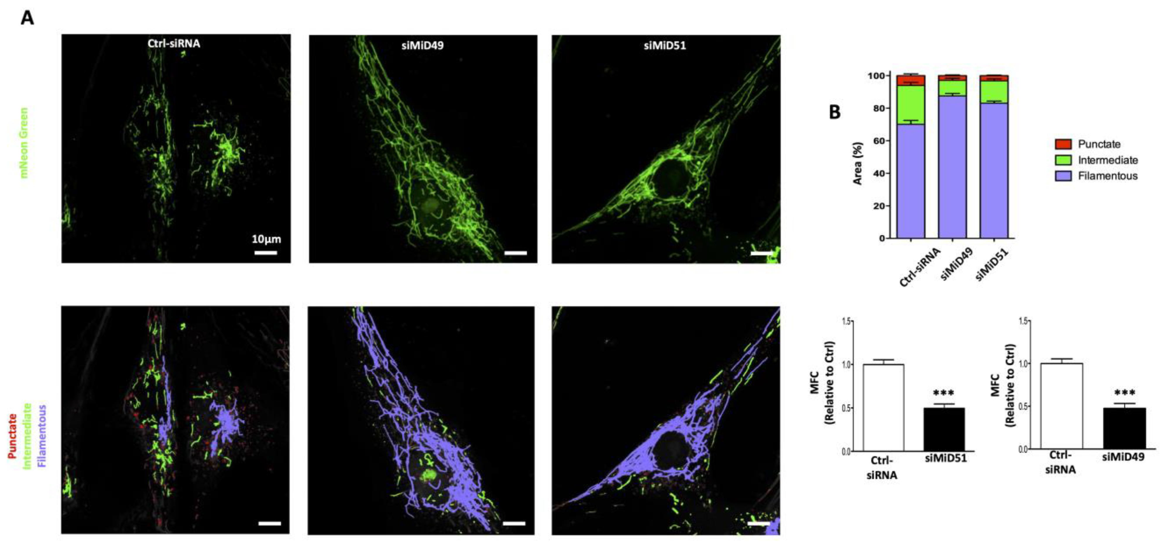 Cells 12 01897 g008 Cells 12 01897 g008