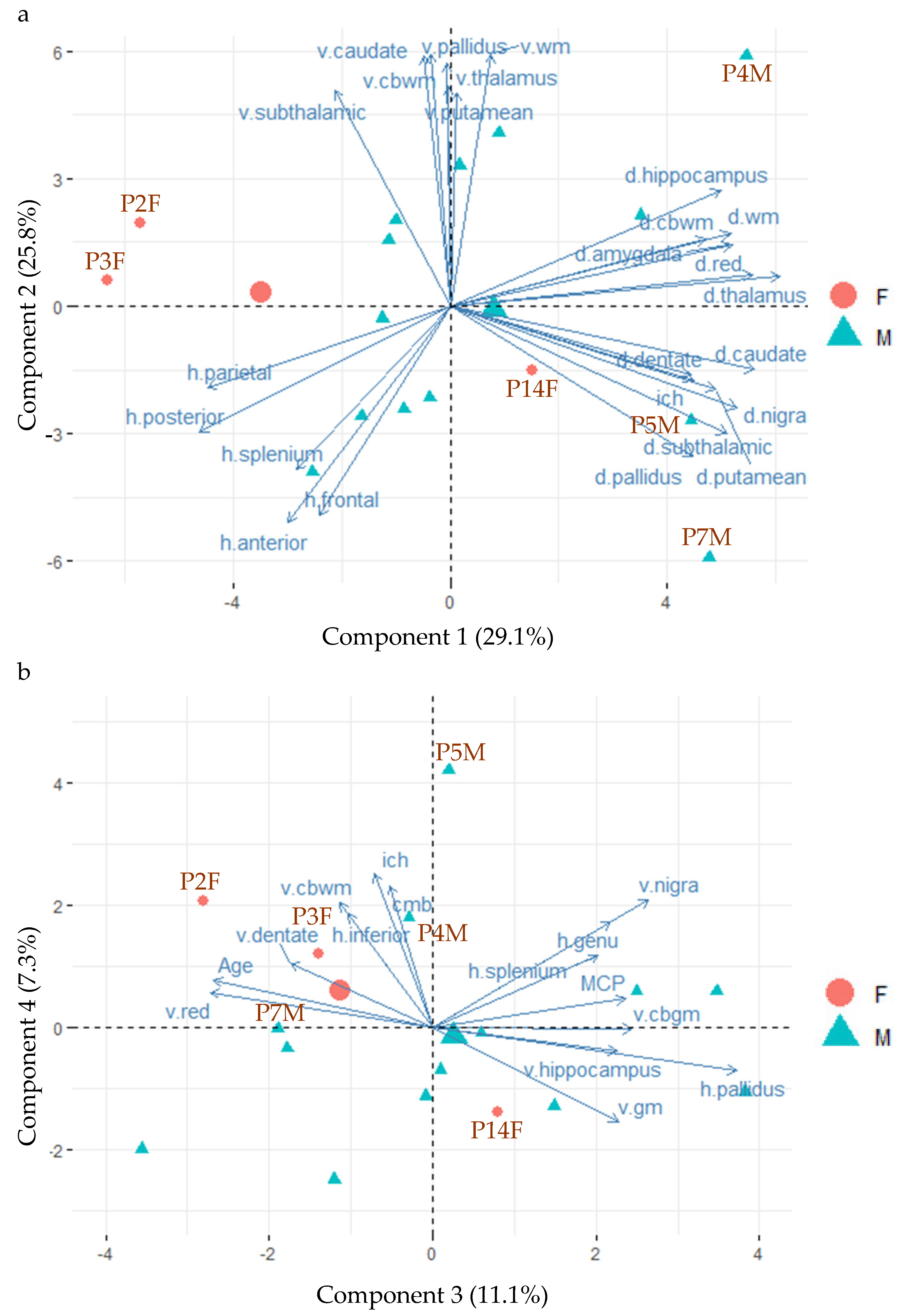 Cells 12 01898 g002 Cells 12 01898 g002