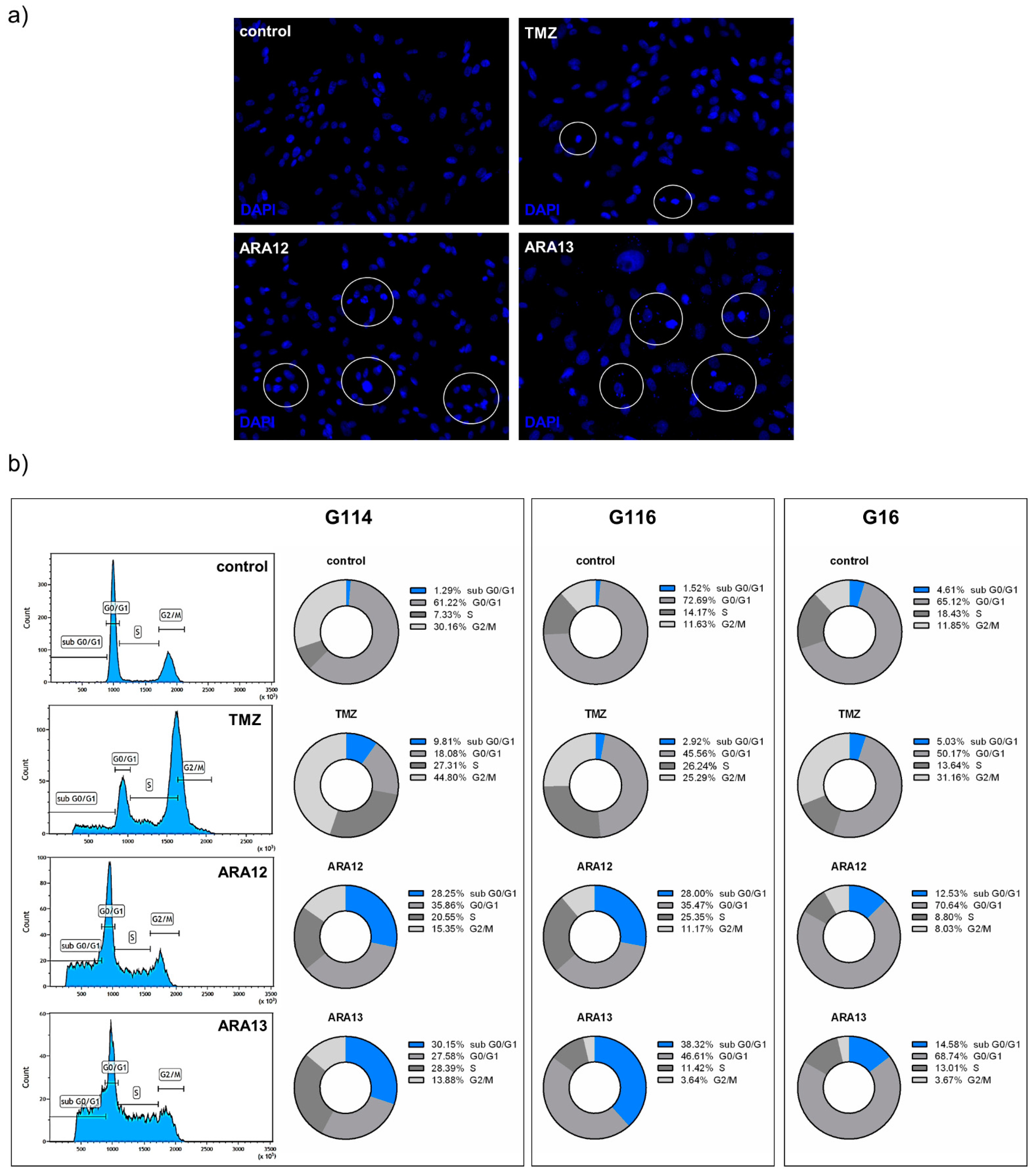 Cells 12 01906 g005 Cells 12 01906 g005