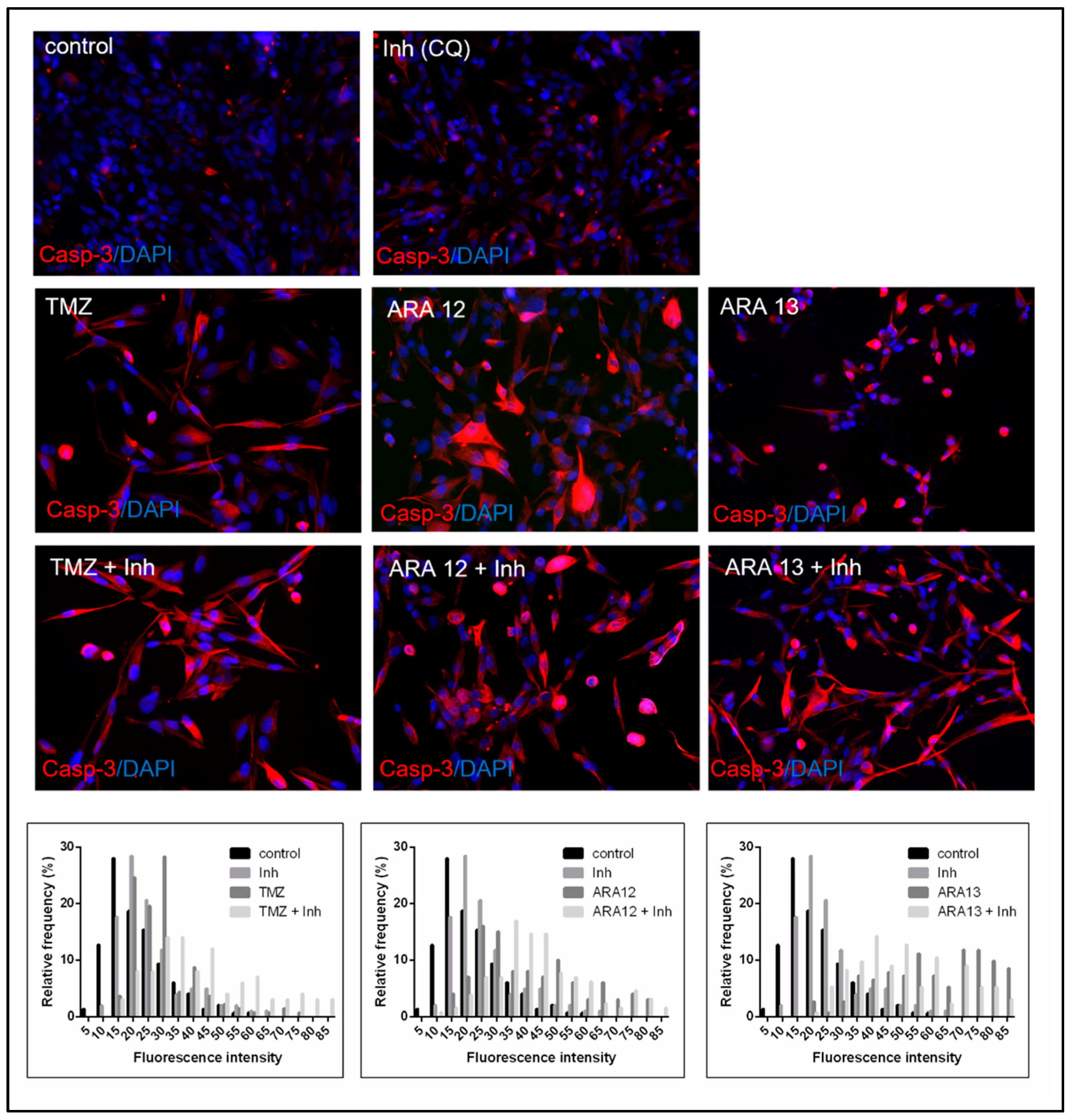 Cells 12 01906 g009 Cells 12 01906 g009