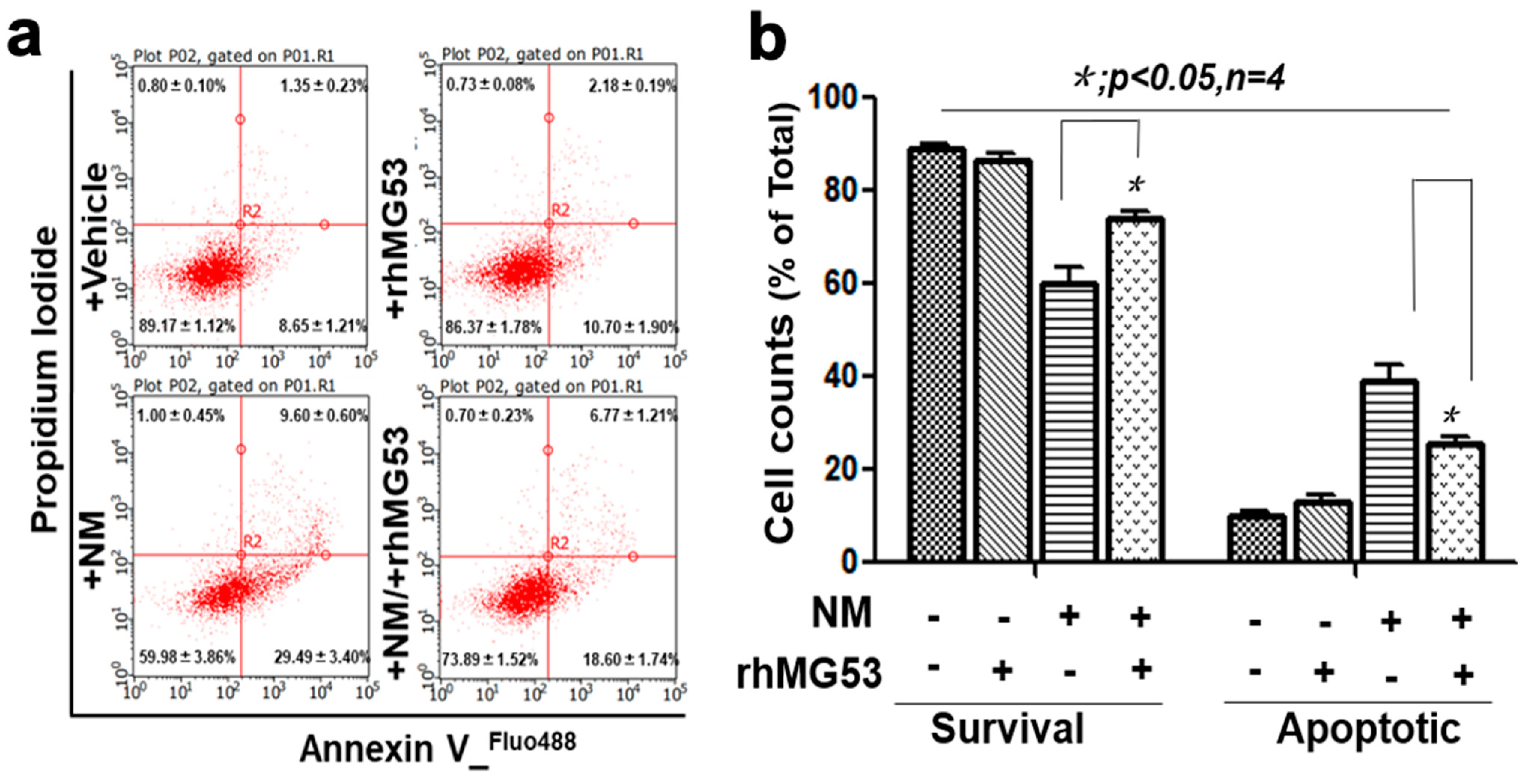 Cells 12 01915 g005 Cells 12 01915 g005