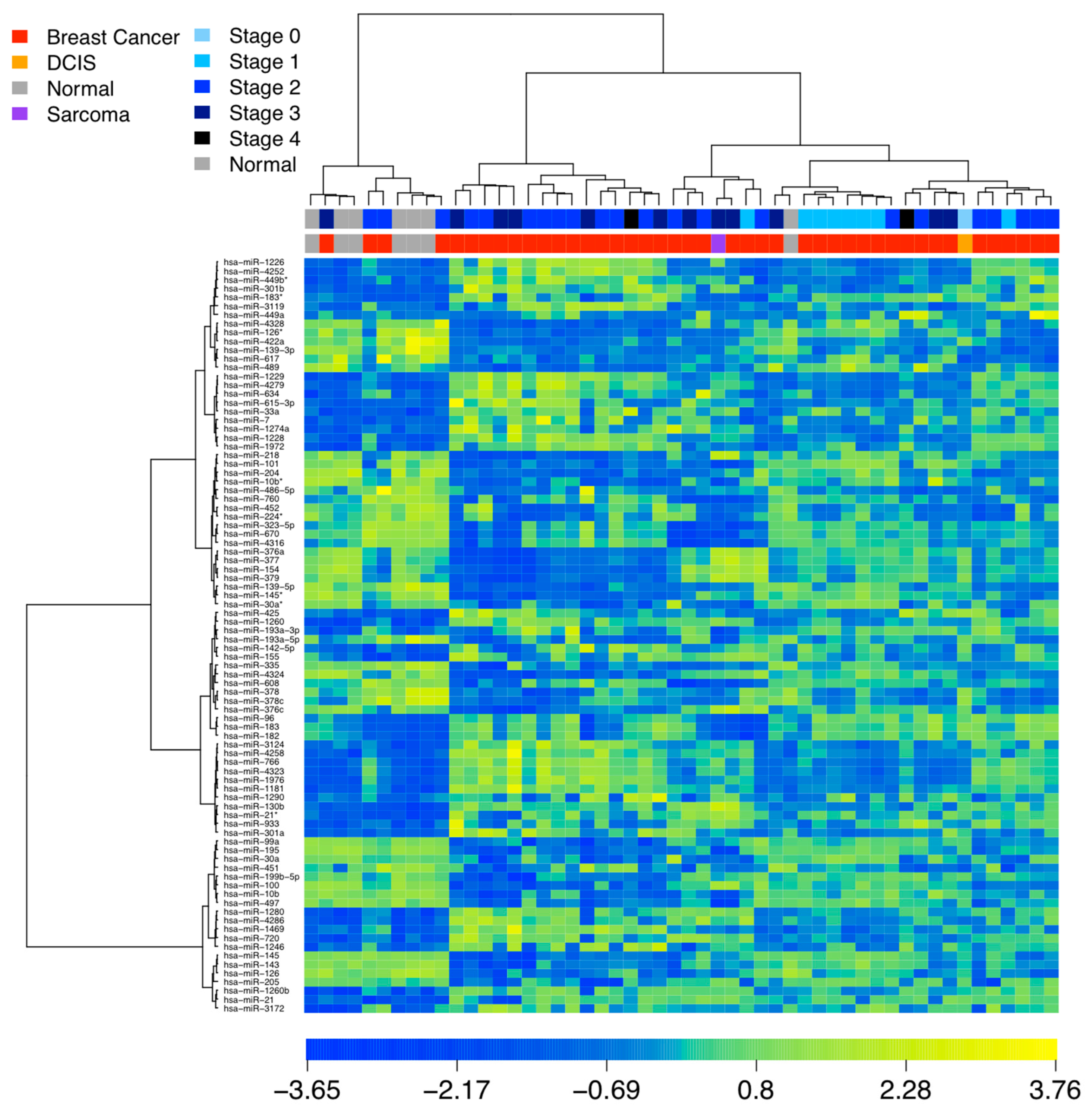 Cells 12 01917 g001 Cells 12 01917 g001