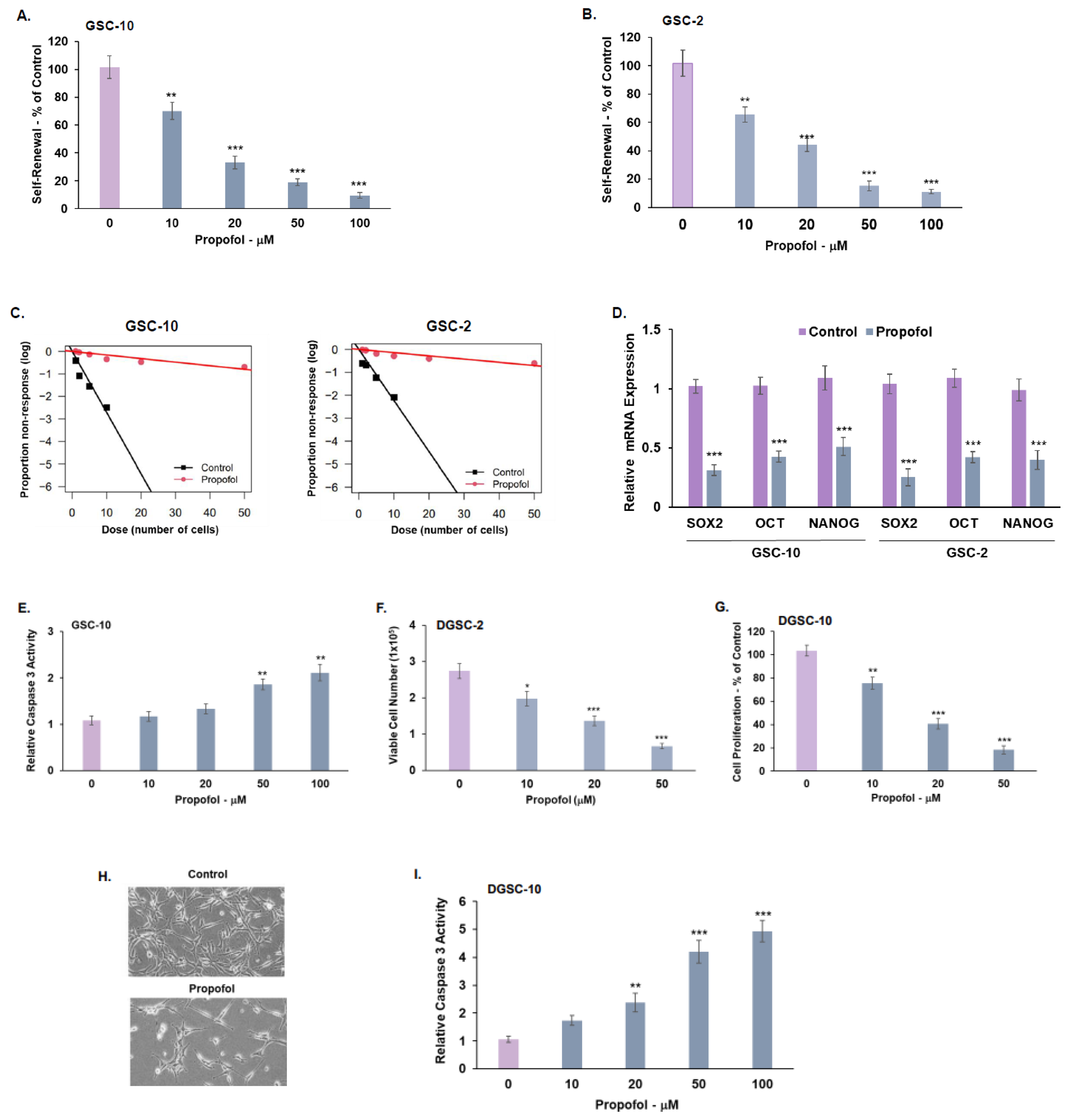 Cells 12 01921 g001a Cells 12 01921 g001a