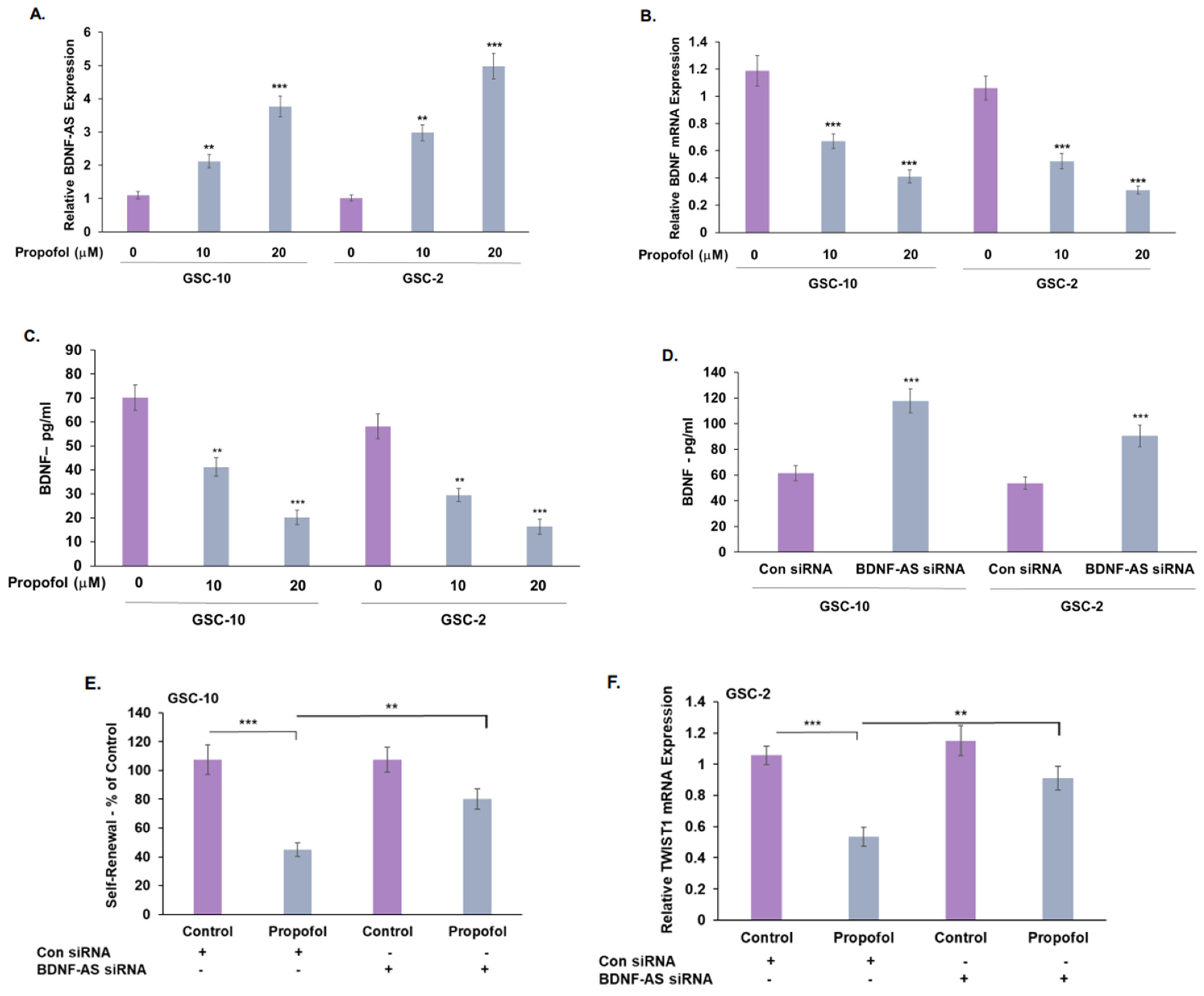 Cells 12 01921 g004 Cells 12 01921 g004