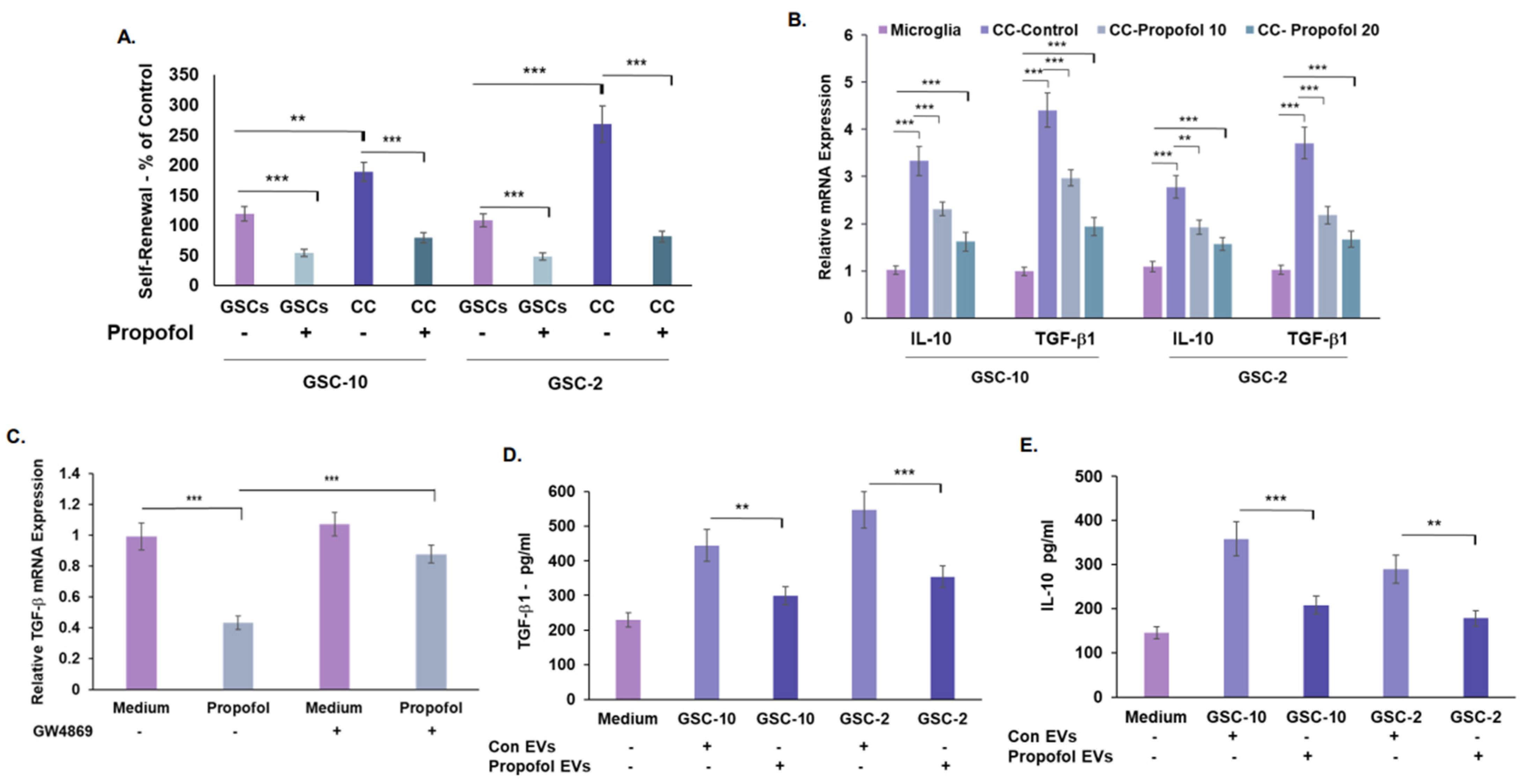 Cells 12 01921 g006 Cells 12 01921 g006