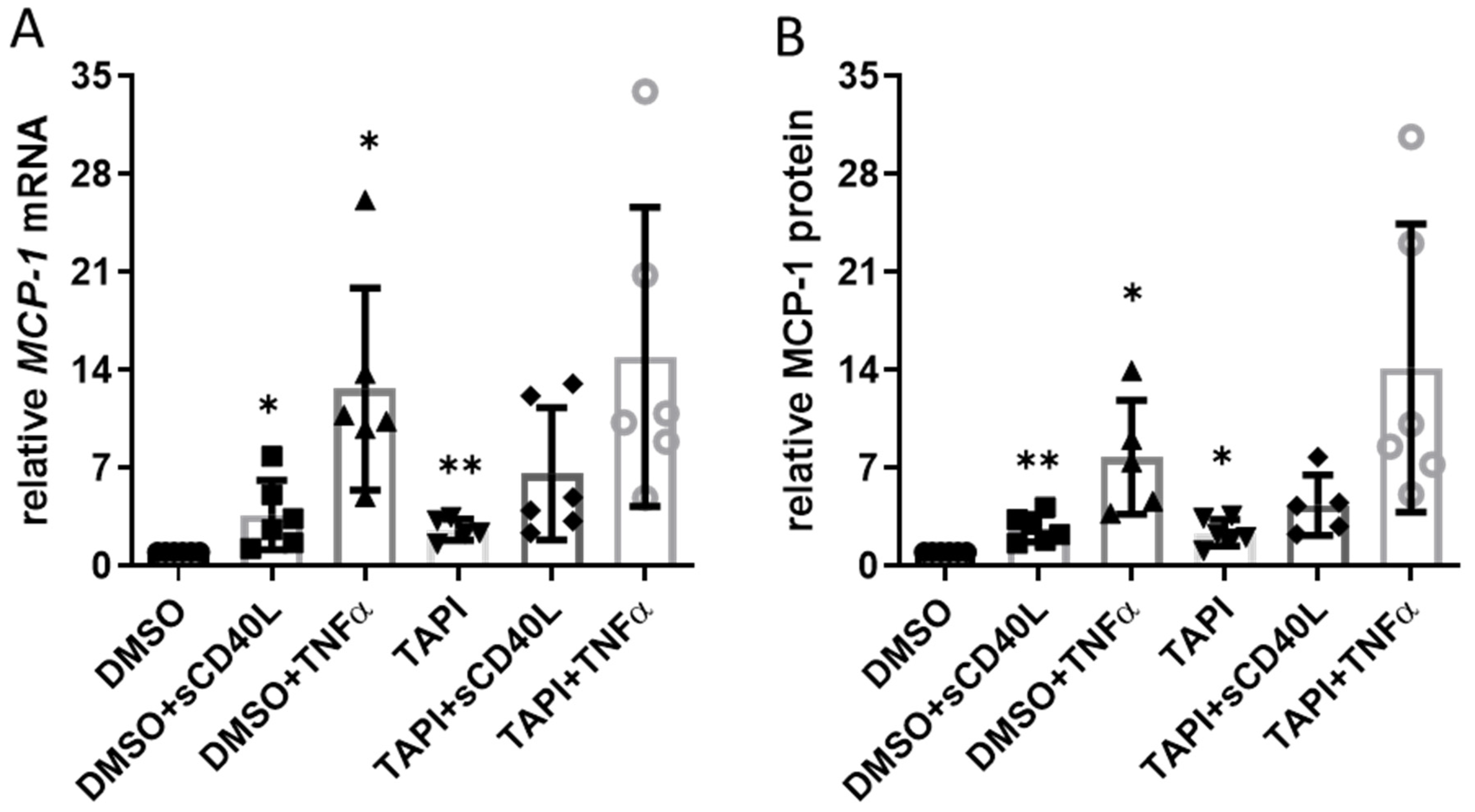 Cells 12 01926 g003 Cells 12 01926 g003