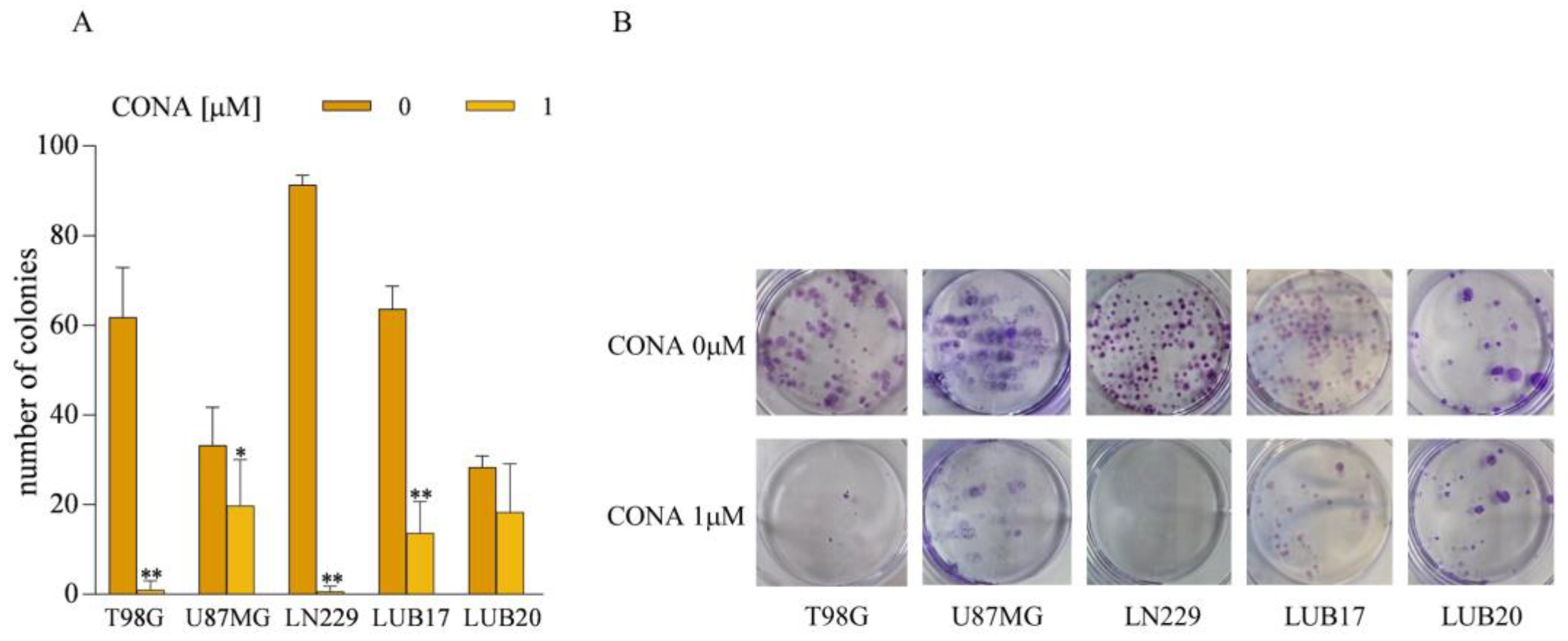Cells 12 01934 g003 Cells 12 01934 g003